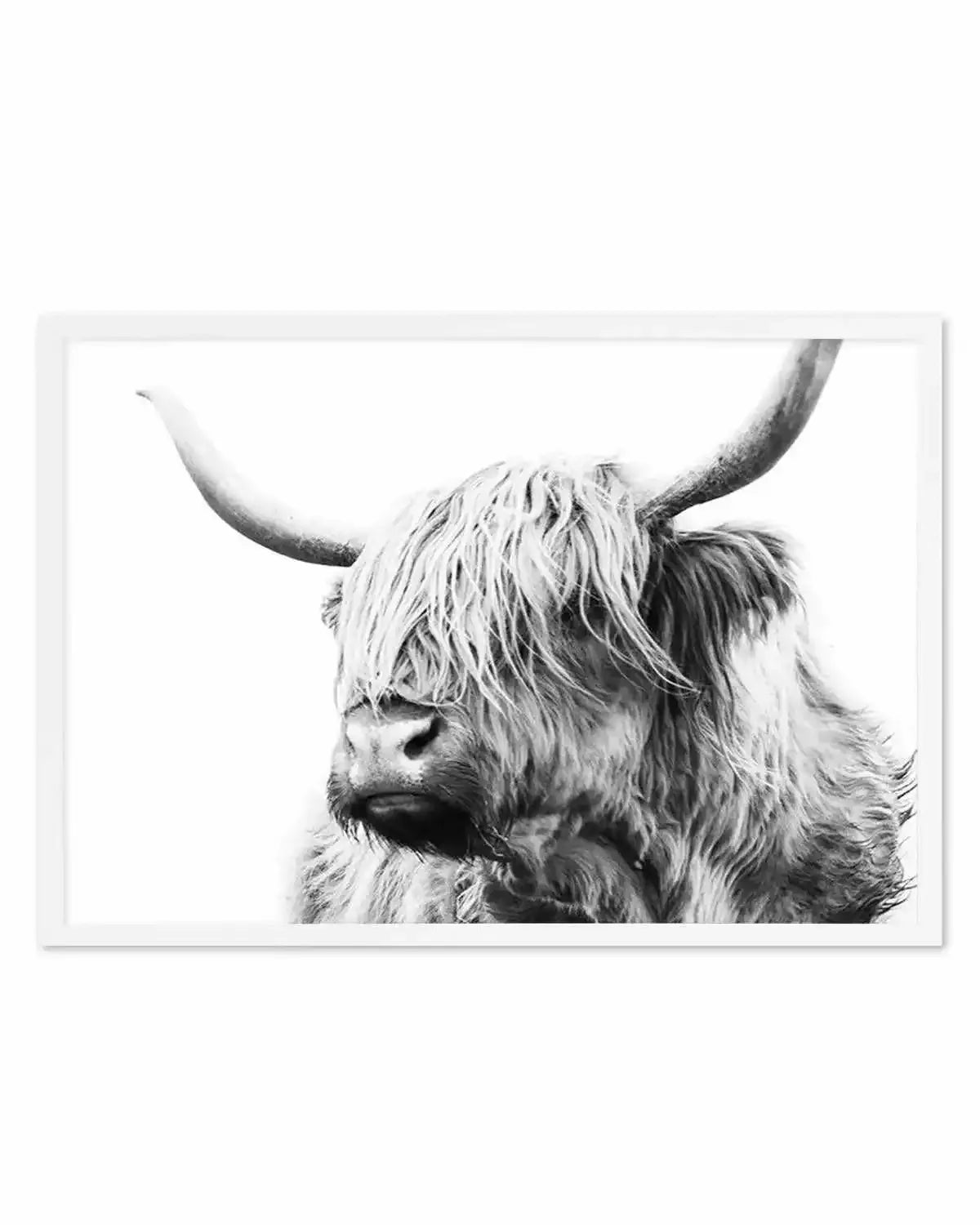 Highland Cow B&W Close-up Art Print from Olive et Oriel where you can shop wallpaper and artworks online