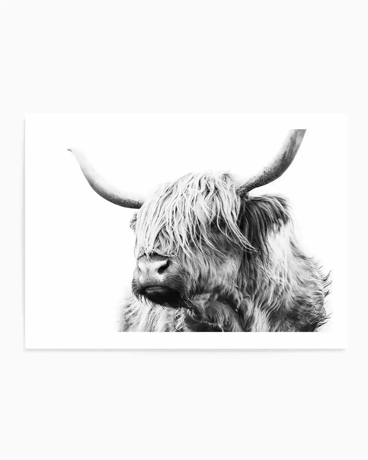 Highland Cow B&W Close-up Art Print from Olive et Oriel where you can shop wallpaper and artworks online
