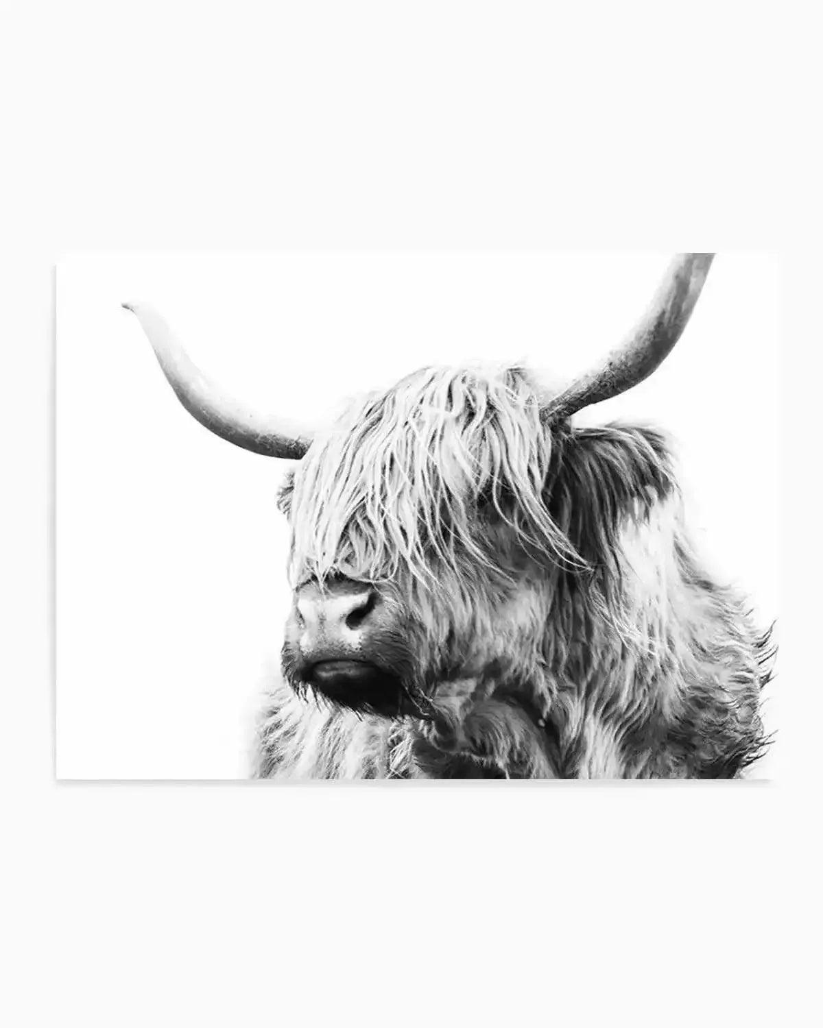 Highland Cow B&W Close-up Art Print from Olive et Oriel where you can shop wallpaper and artworks online