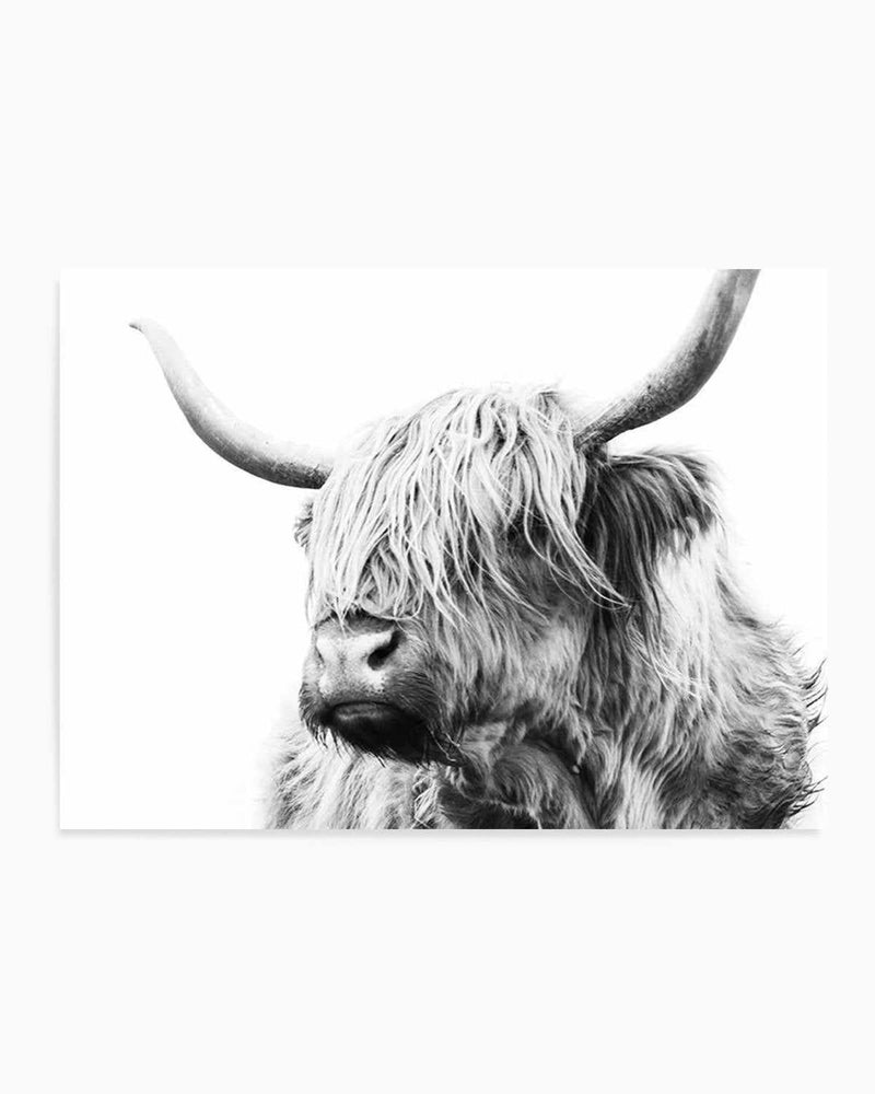 Highland Cow B&W Close-up Art Print
