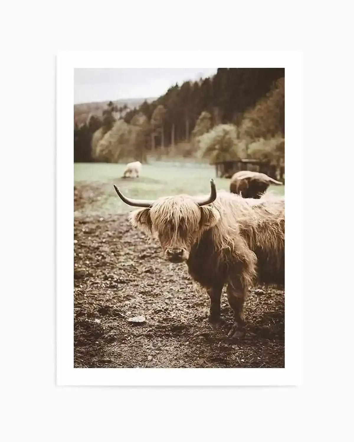 Highland Field Art Print from Olive et Oriel where you can shop wallpaper and artworks online