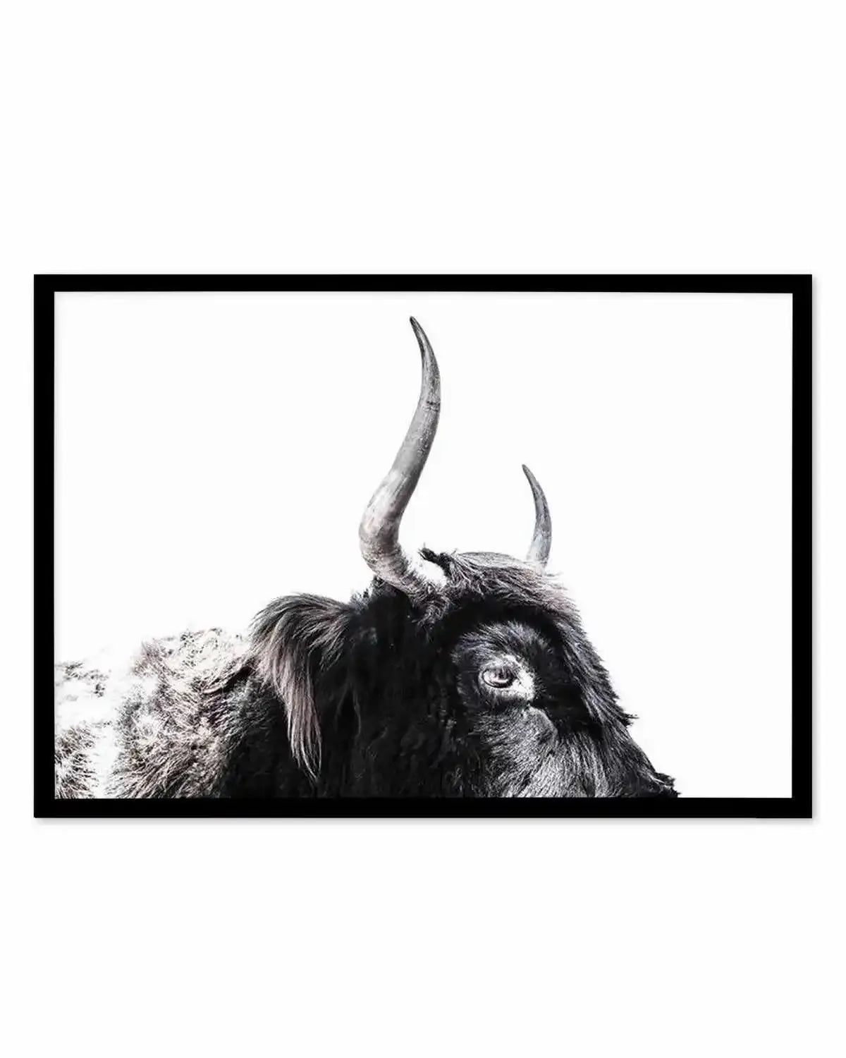 Highland Stare Art Print from Olive et Oriel where you can shop wallpaper and artworks online