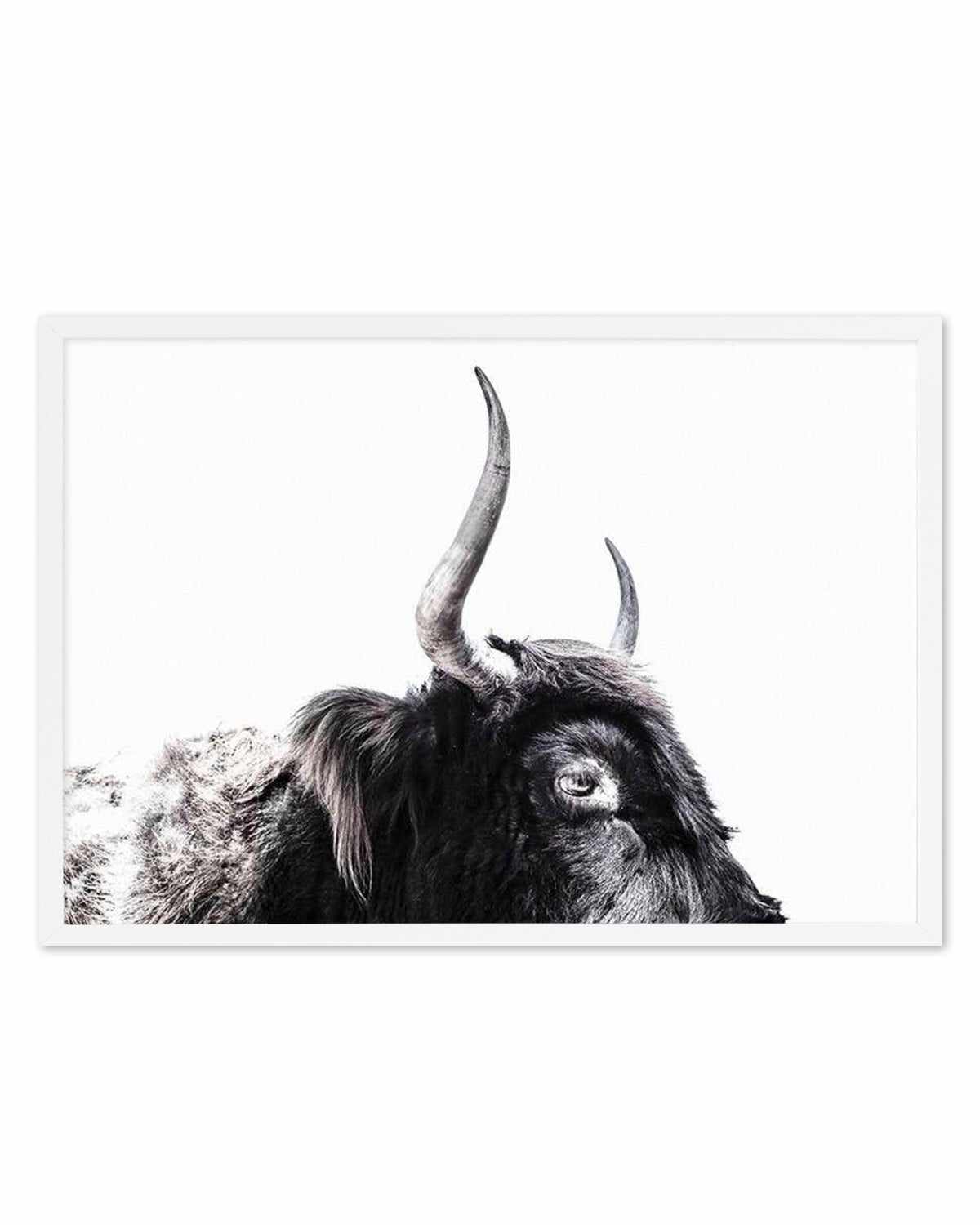 Highland Stare Art Print