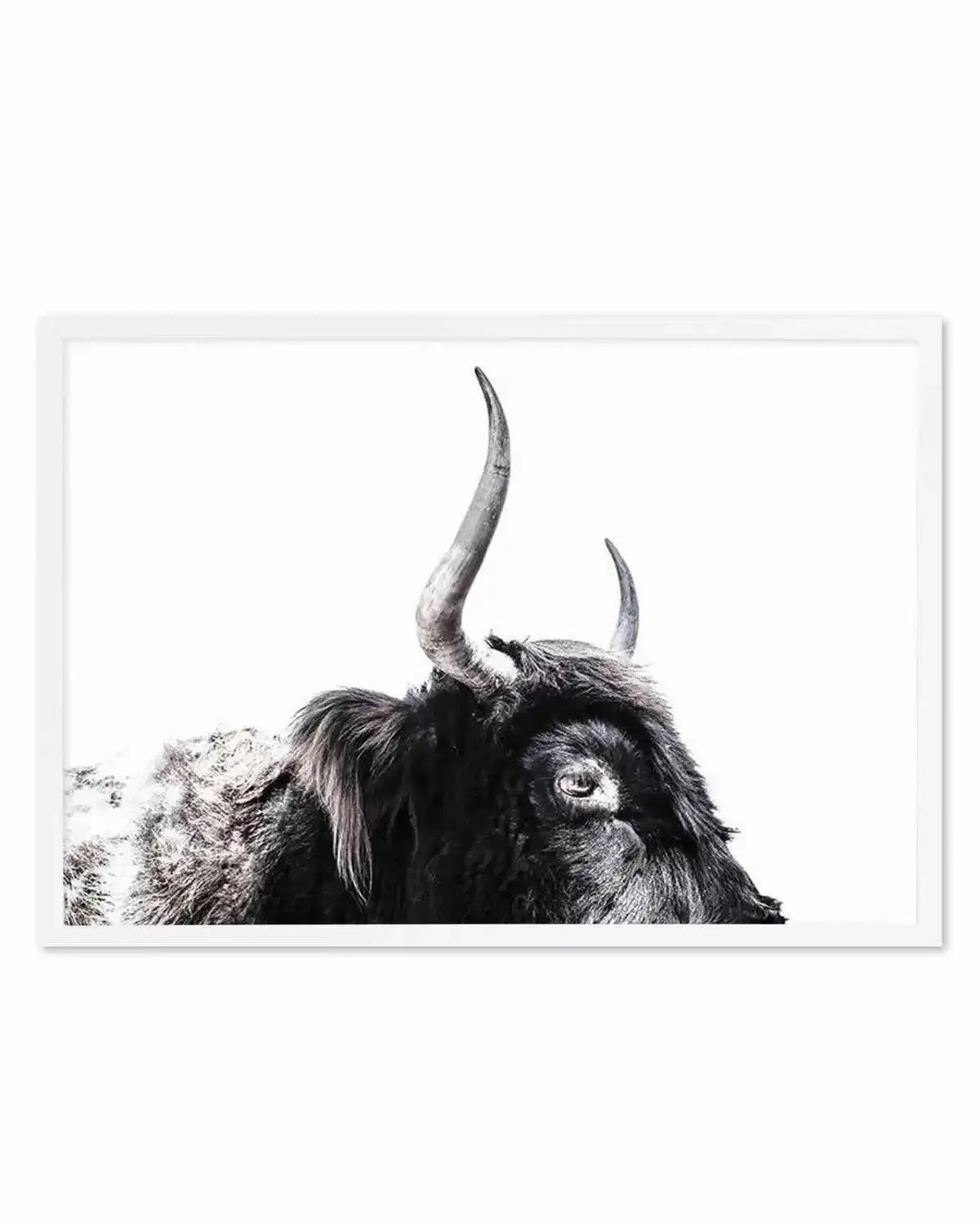Highland Stare Art Print from Olive et Oriel where you can shop wallpaper and artworks online