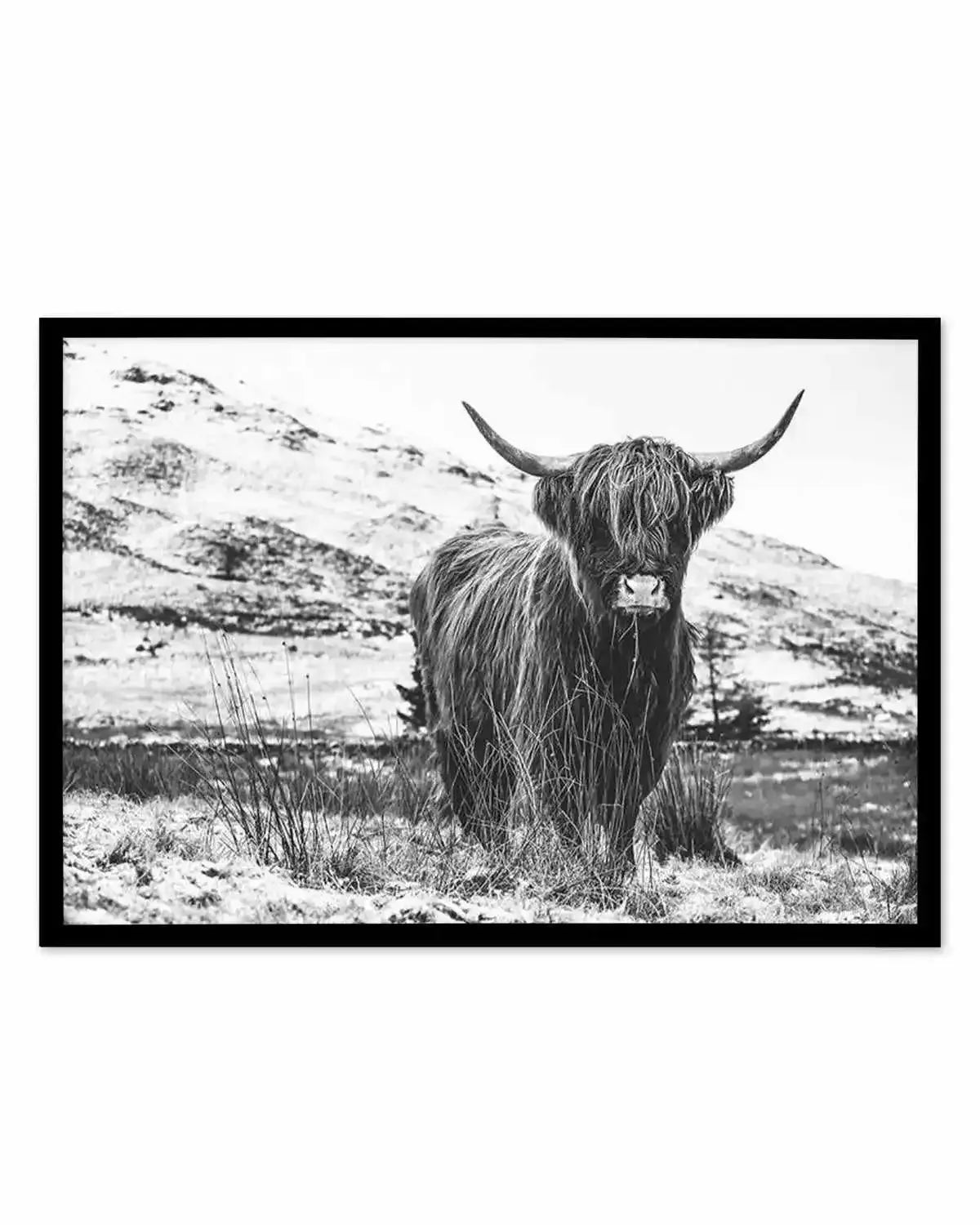Highlander B&W Art Print from Olive et Oriel where you can shop wallpaper and artworks online