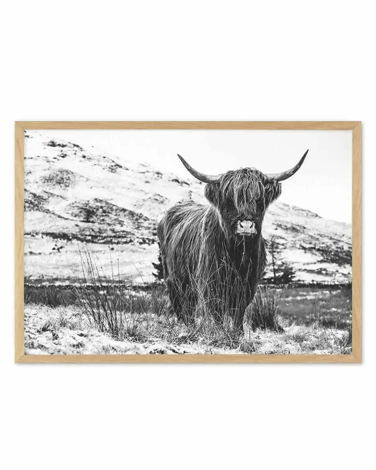 Highlander B&W Art Print from Olive et Oriel where you can shop wallpaper and artworks online