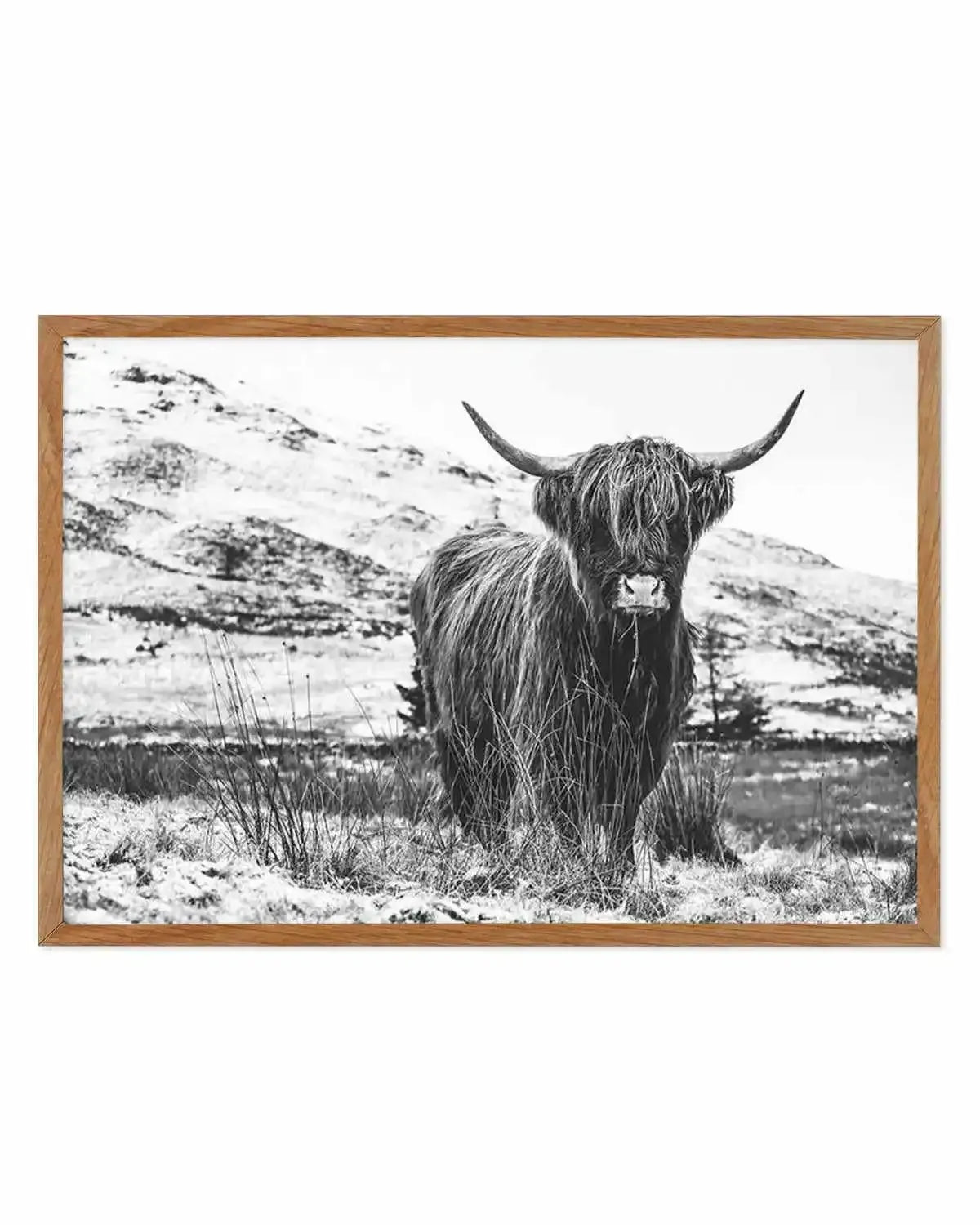 Highlander B&W Art Print from Olive et Oriel where you can shop wallpaper and artworks online