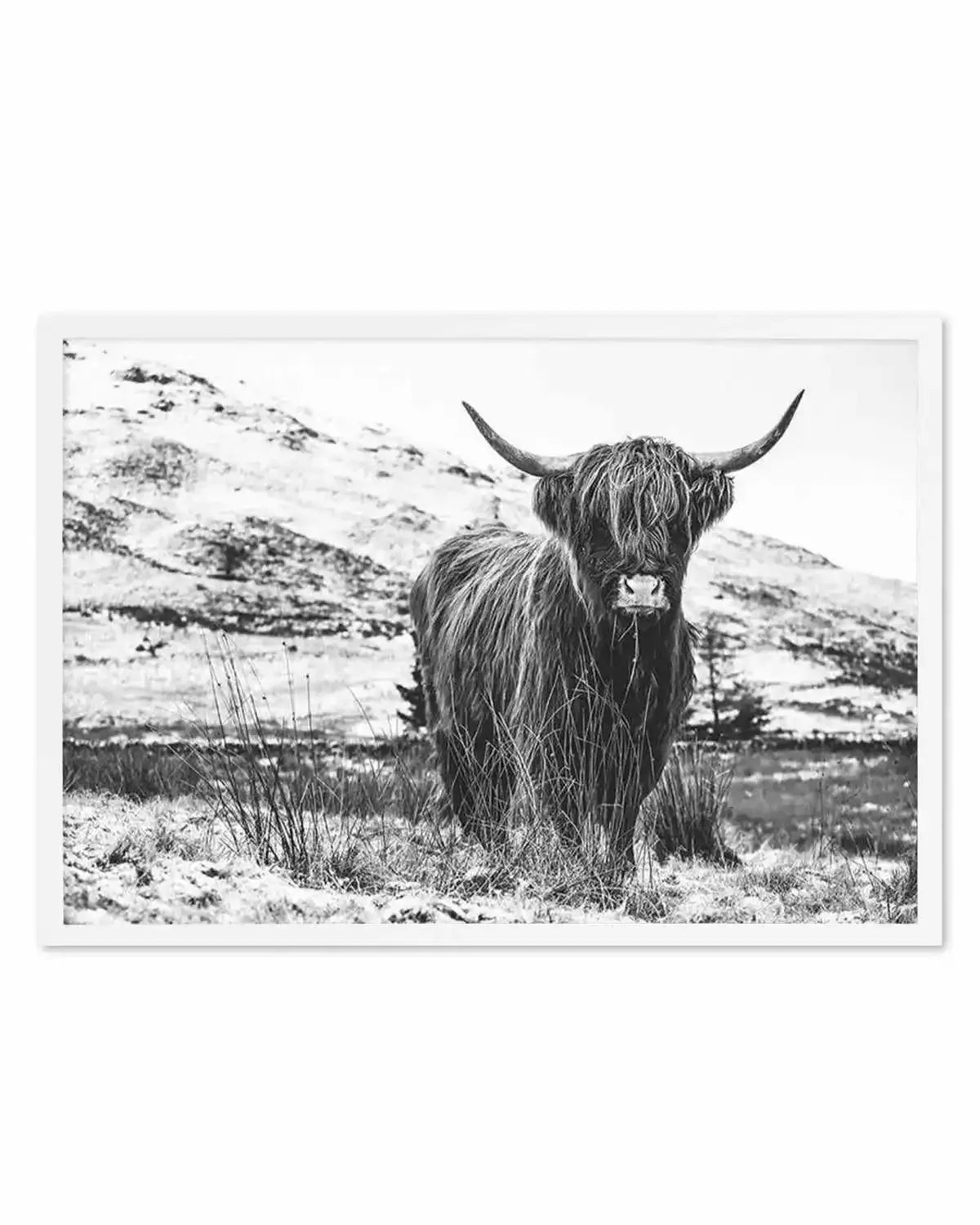 Highlander B&W Art Print from Olive et Oriel where you can shop wallpaper and artworks online