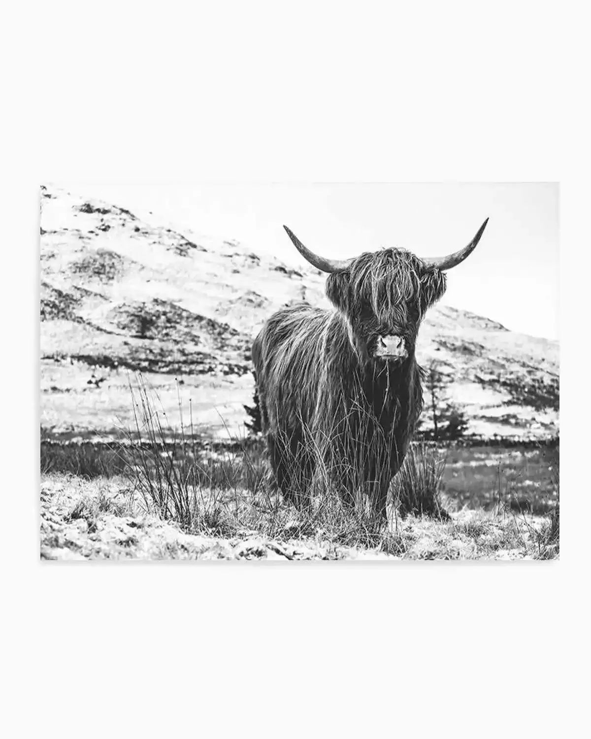 Highlander B&W Art Print from Olive et Oriel where you can shop wallpaper and artworks online