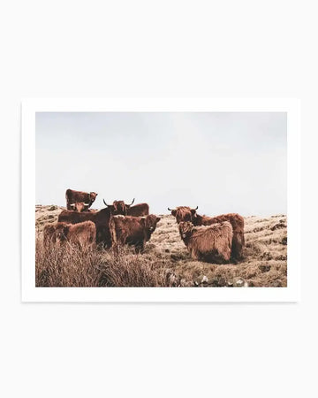 Highlander Herd | LS Art Print brown neutrals nature art print