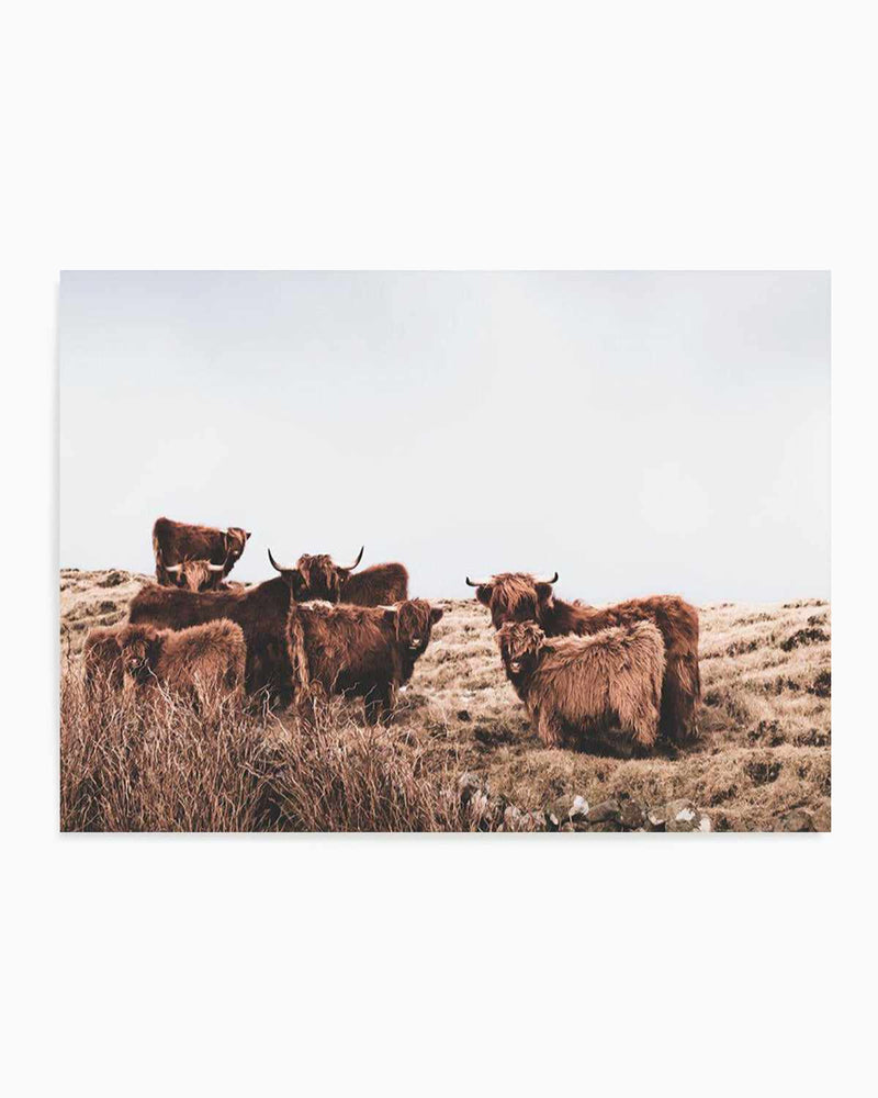 Highlander Herd | LS Art Print