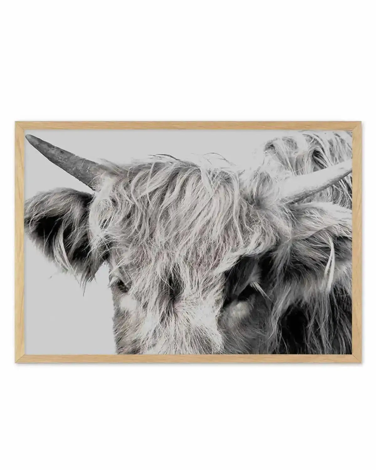 Highlander II | LS Art Print from Olive et Oriel where you can shop wallpaper and artworks online