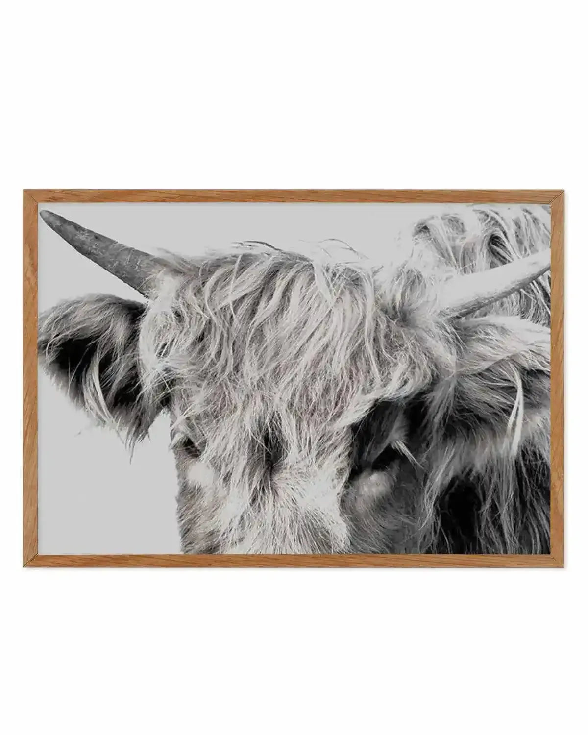Highlander II | LS Art Print from Olive et Oriel where you can shop wallpaper and artworks online