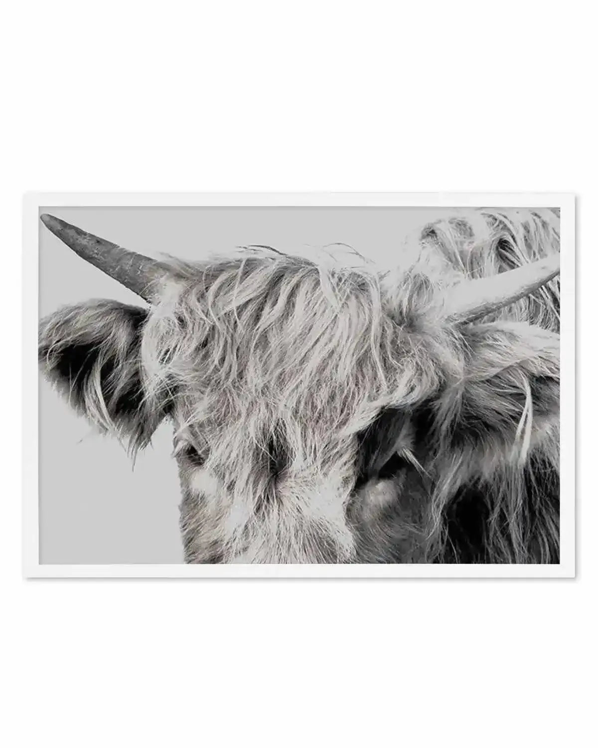Highlander II | LS Art Print from Olive et Oriel where you can shop wallpaper and artworks online