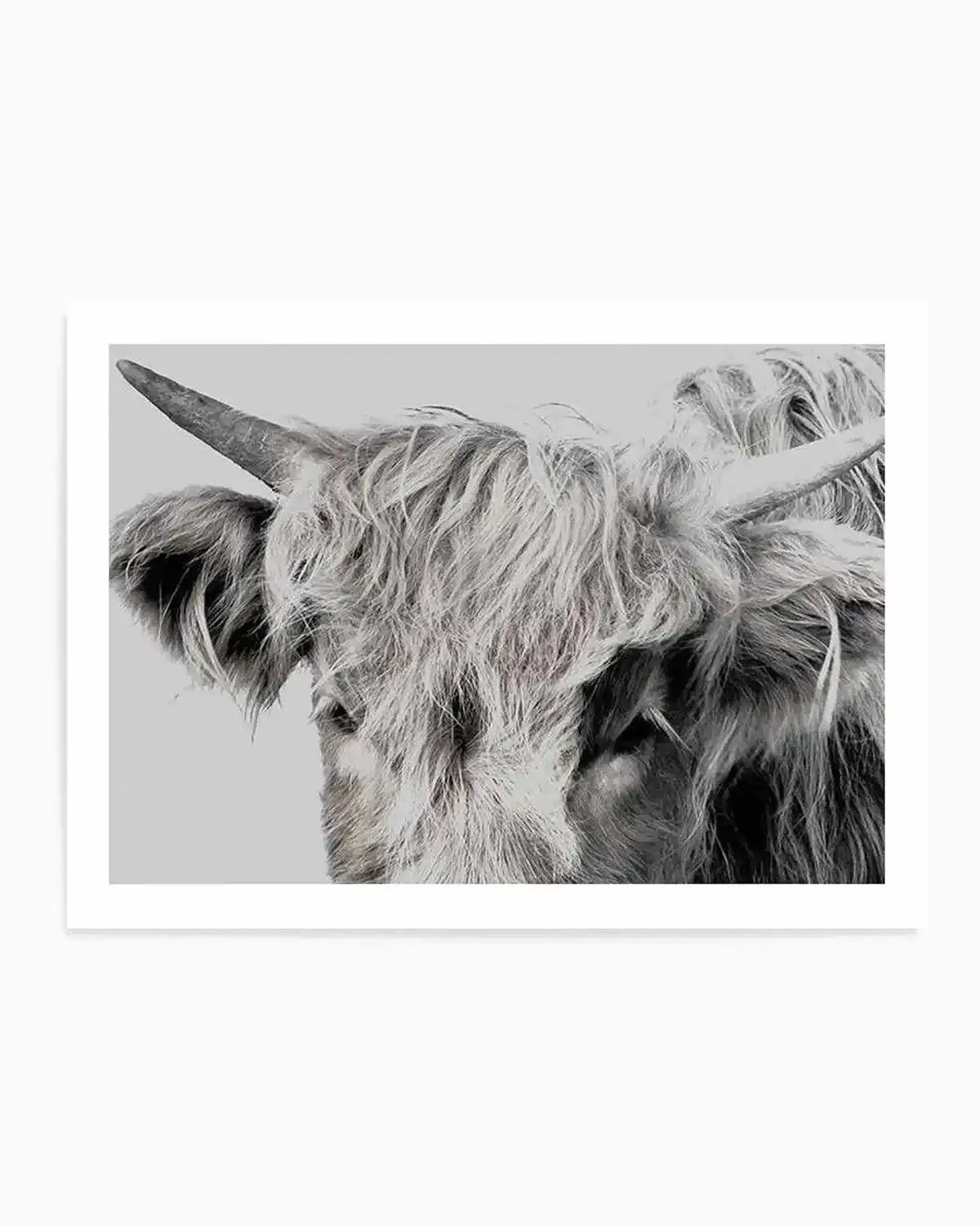 Highlander II | LS Art Print from Olive et Oriel where you can shop wallpaper and artworks online