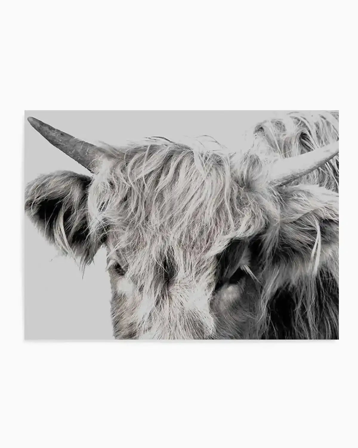Highlander II | LS Art Print from Olive et Oriel where you can shop wallpaper and artworks online