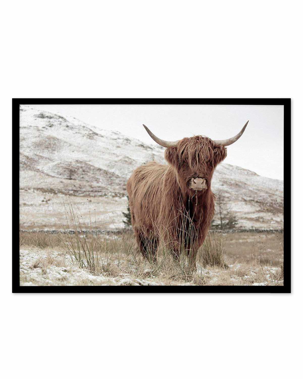 Highlander | LS Art Print