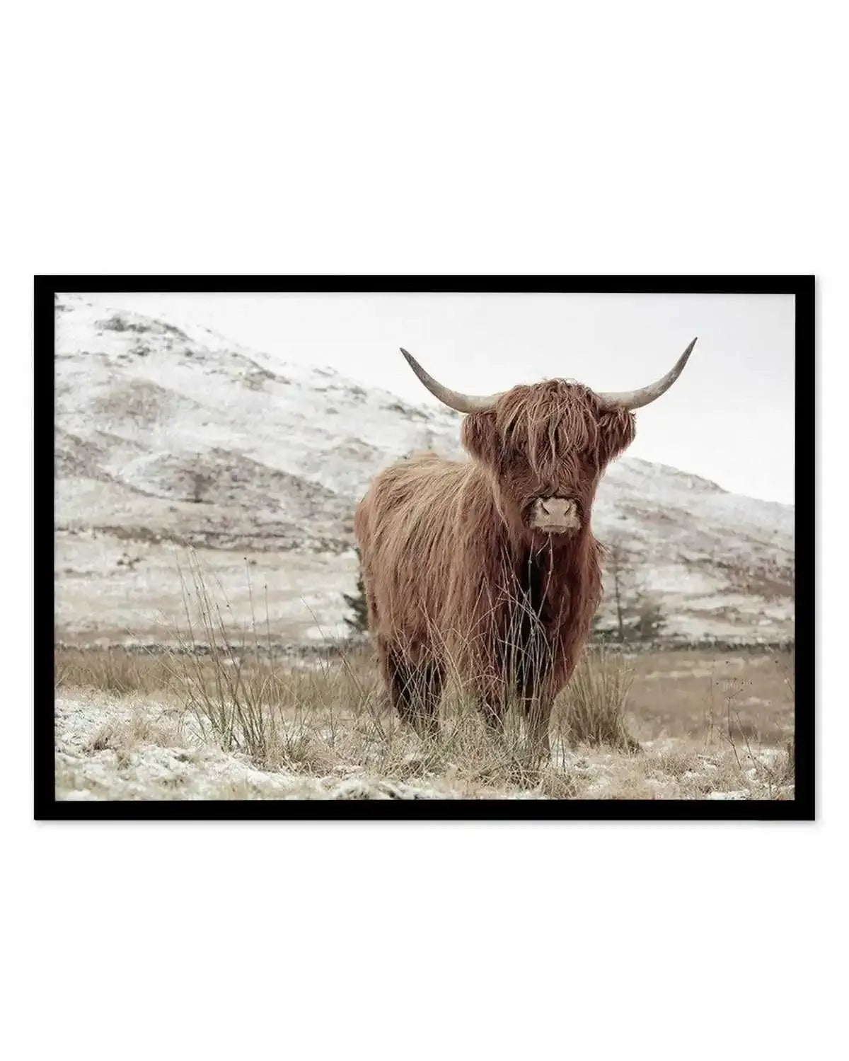 Highlander | LS Art Print from Olive et Oriel where you can shop wallpaper and artworks online