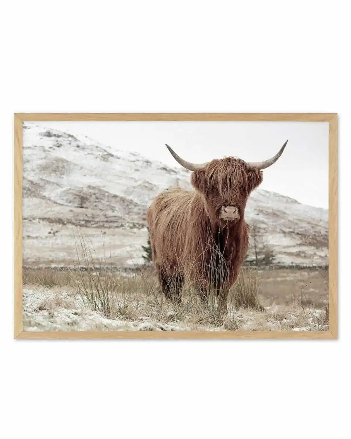 Highlander | LS Art Print from Olive et Oriel where you can shop wallpaper and artworks online