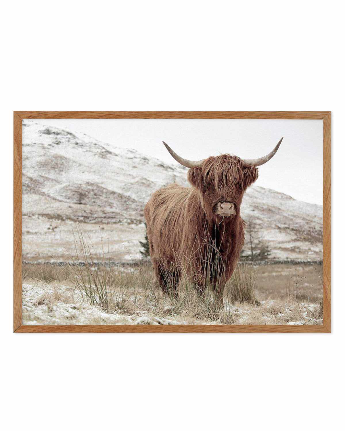 Highlander | LS Art Print