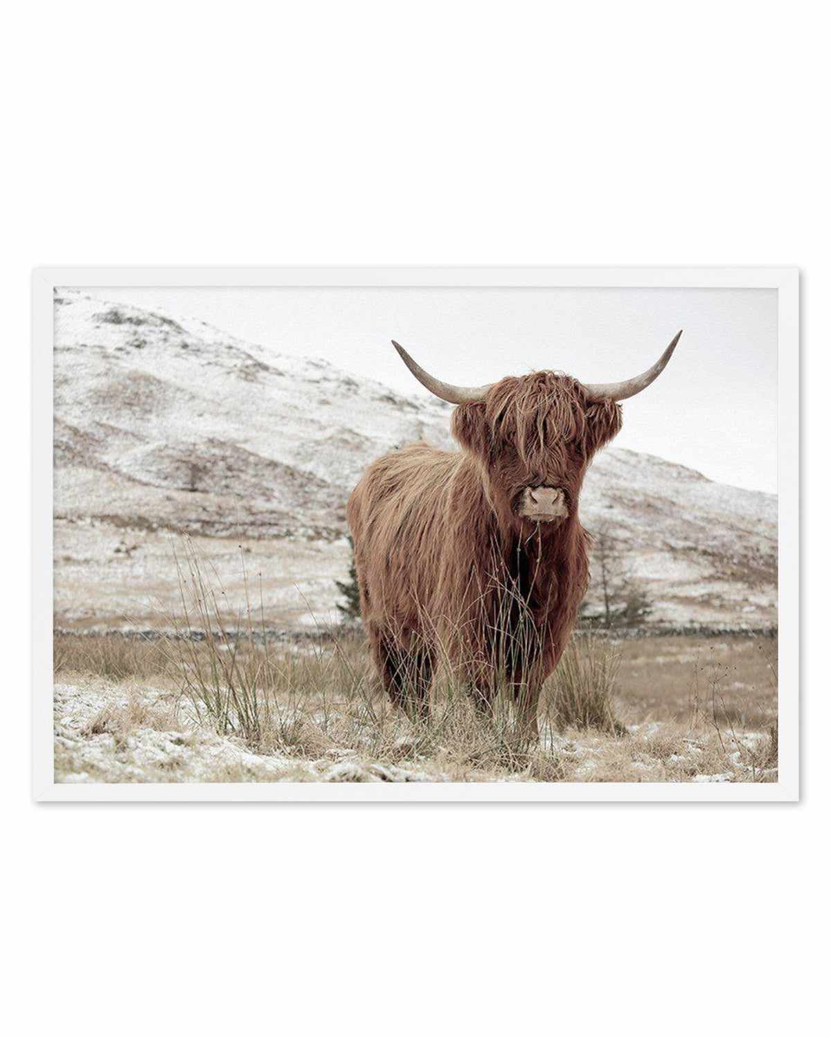 Highlander | LS Art Print