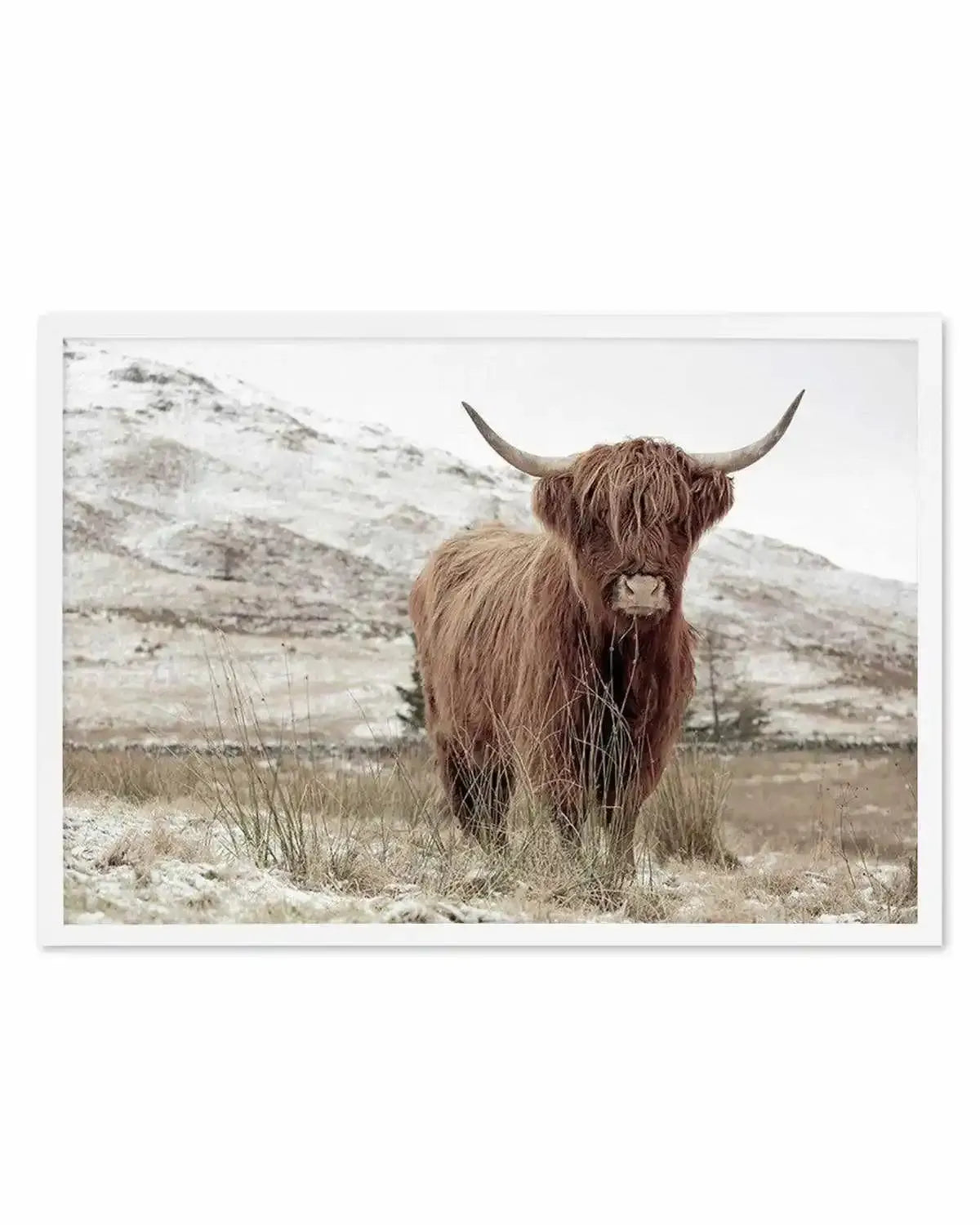 Highlander | LS Art Print from Olive et Oriel where you can shop wallpaper and artworks online
