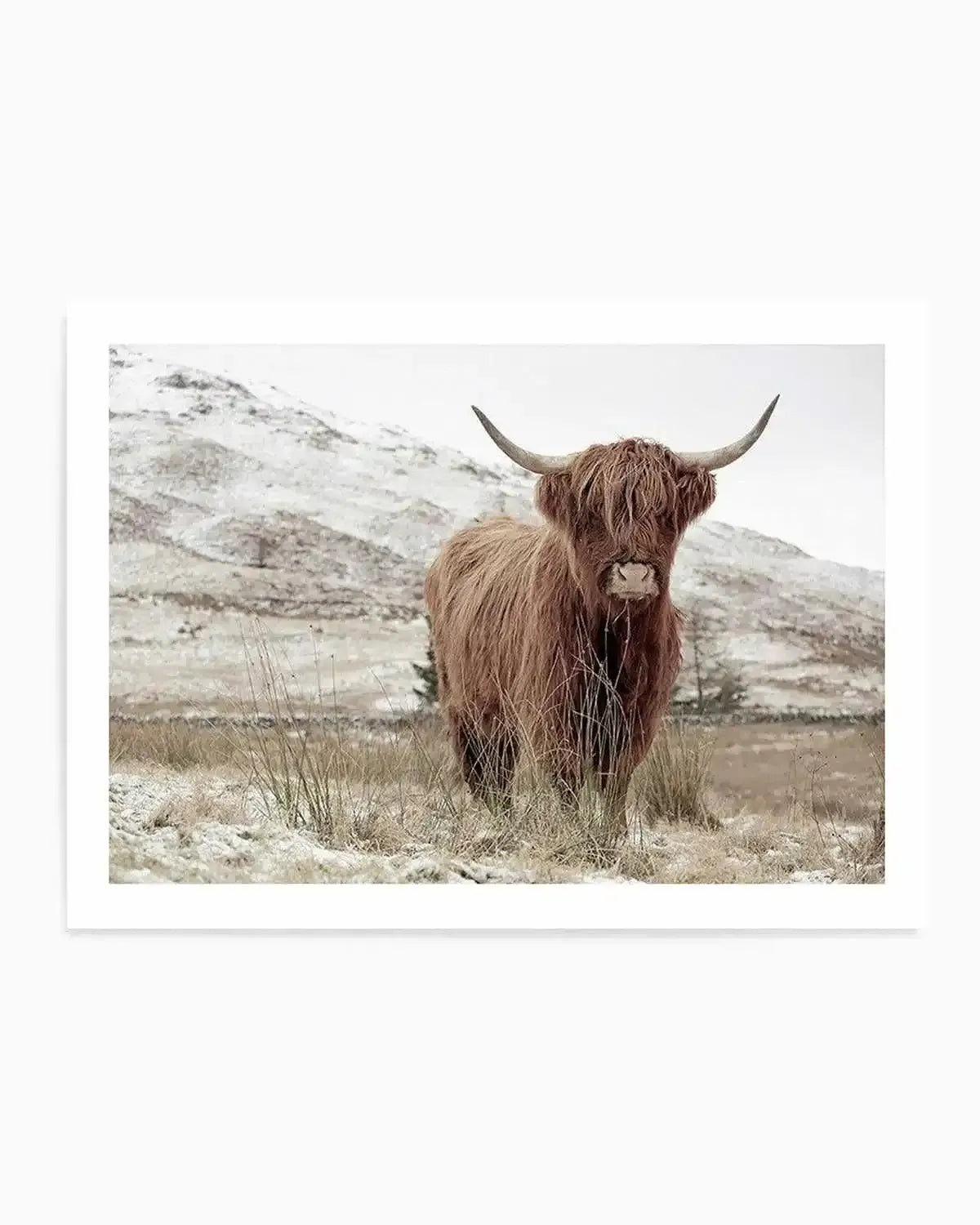 Highlander | LS Art Print from Olive et Oriel where you can shop wallpaper and artworks online