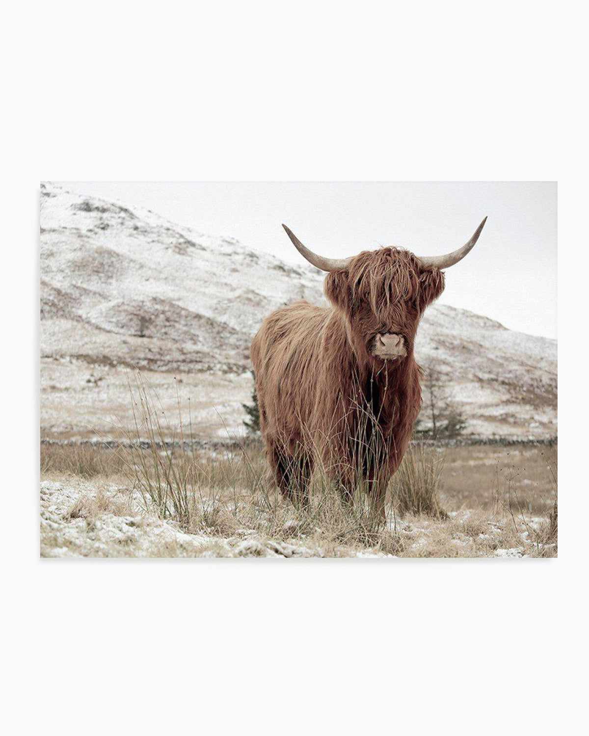 Highlander | LS Art Print