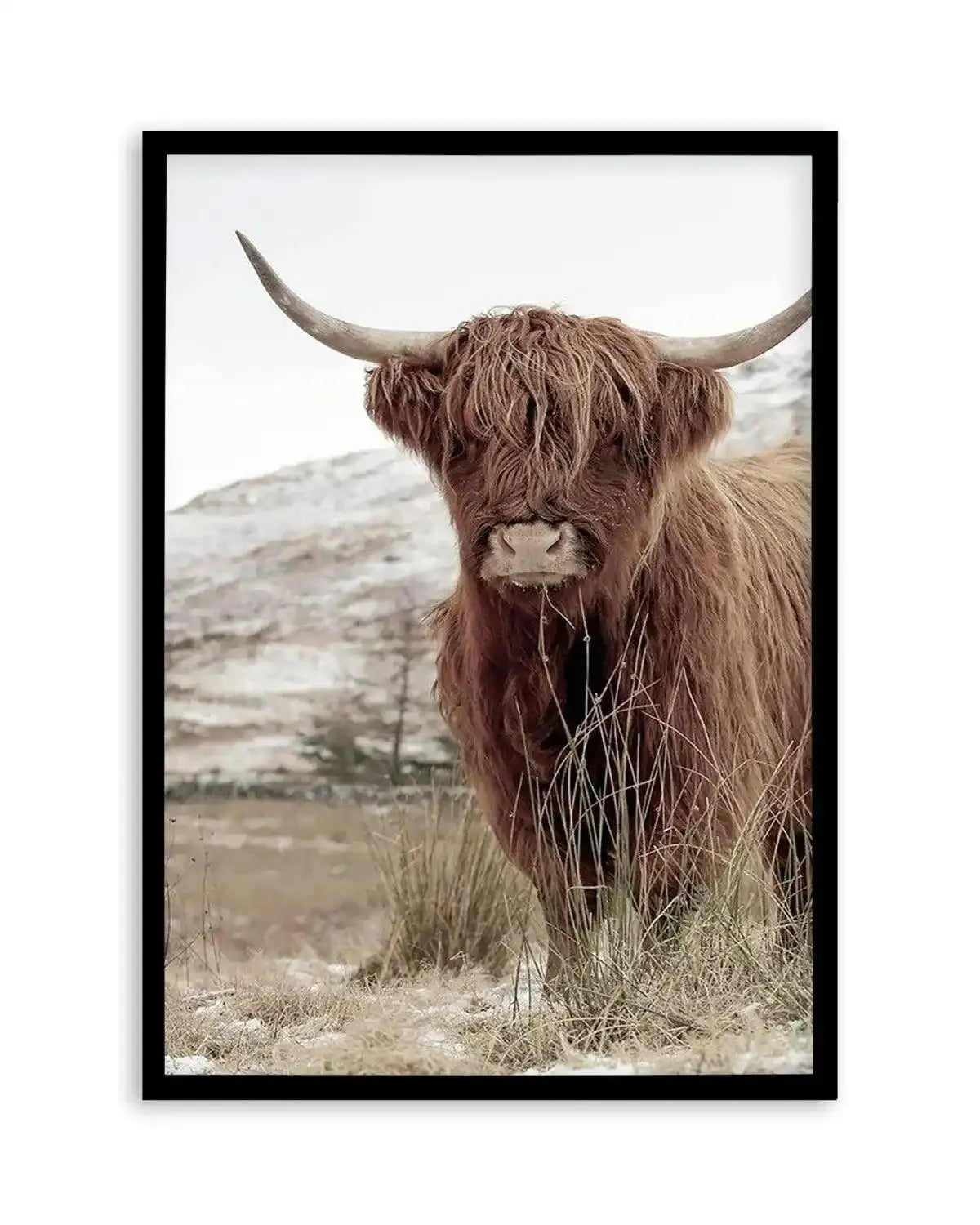 Highlander | PT Art Print from Olive et Oriel where you can shop wallpaper and artworks online