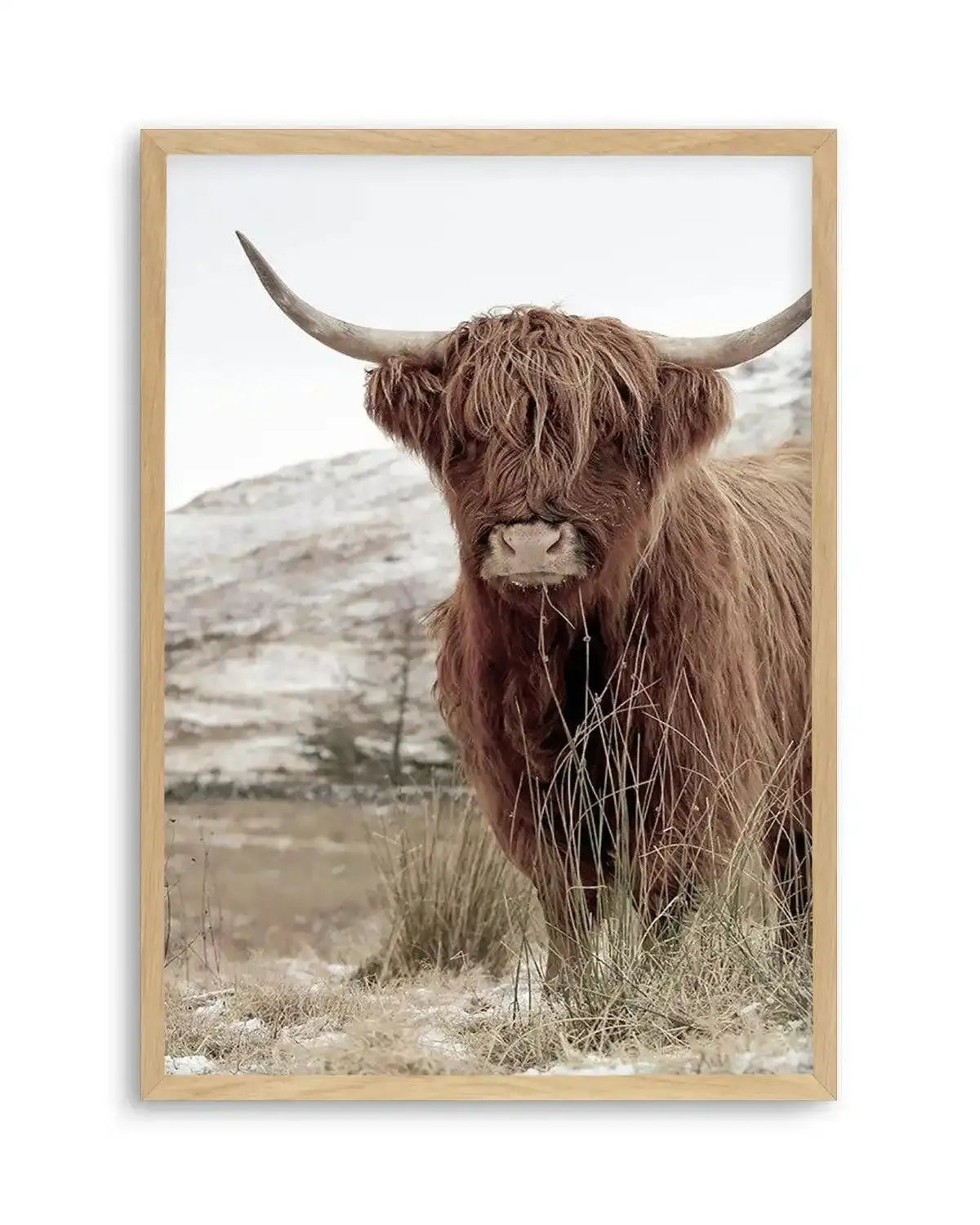 Highlander | PT Art Print from Olive et Oriel where you can shop wallpaper and artworks online