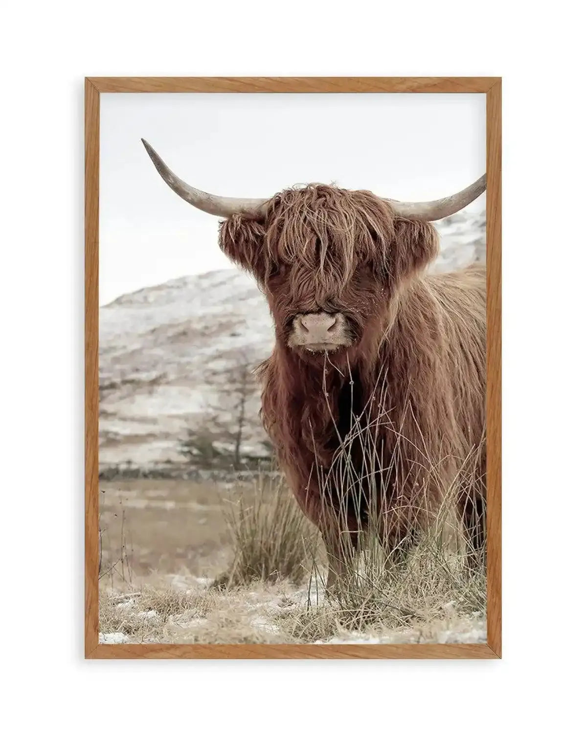 Highlander | PT Art Print from Olive et Oriel where you can shop wallpaper and artworks online