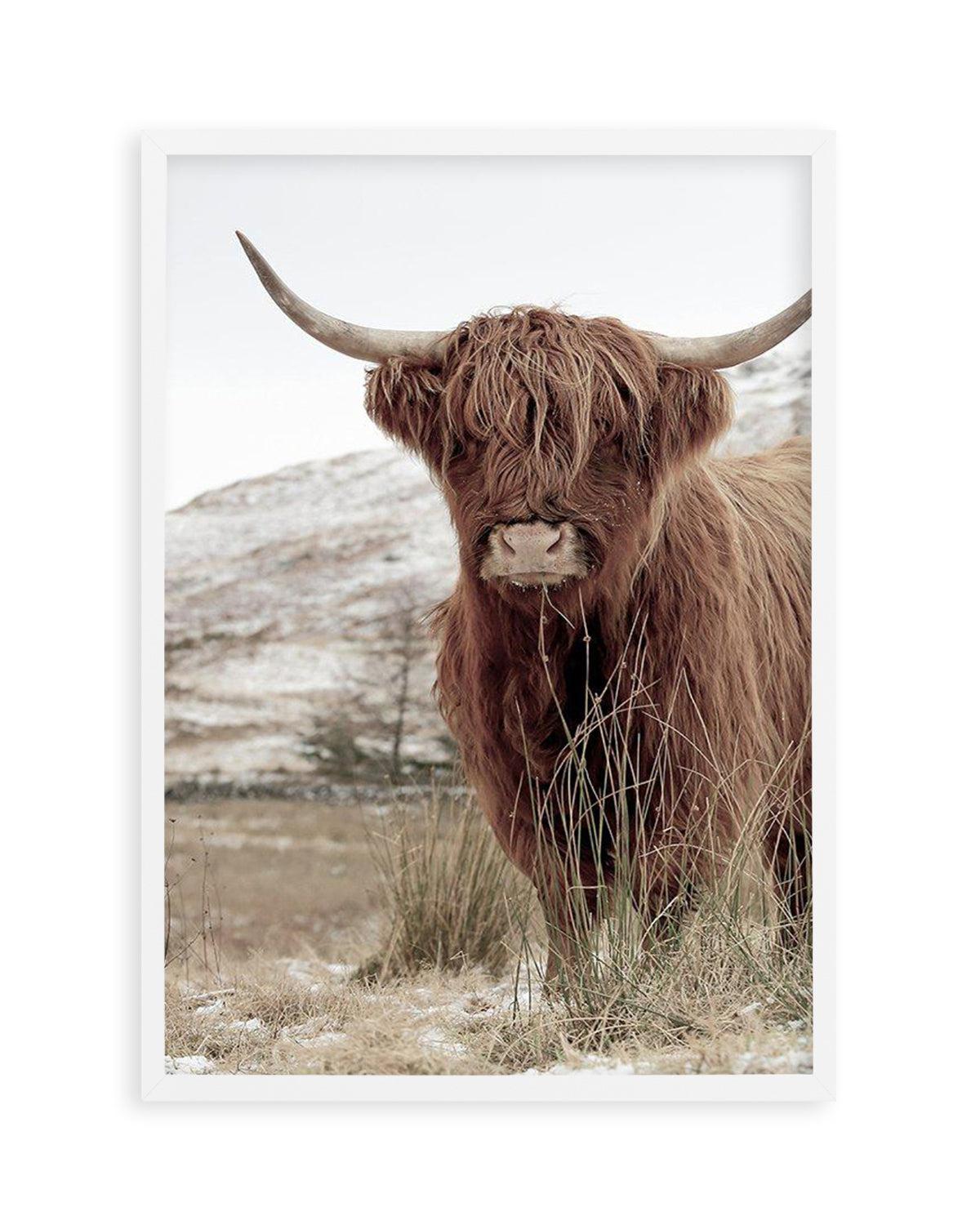 Highlander | PT Art Print