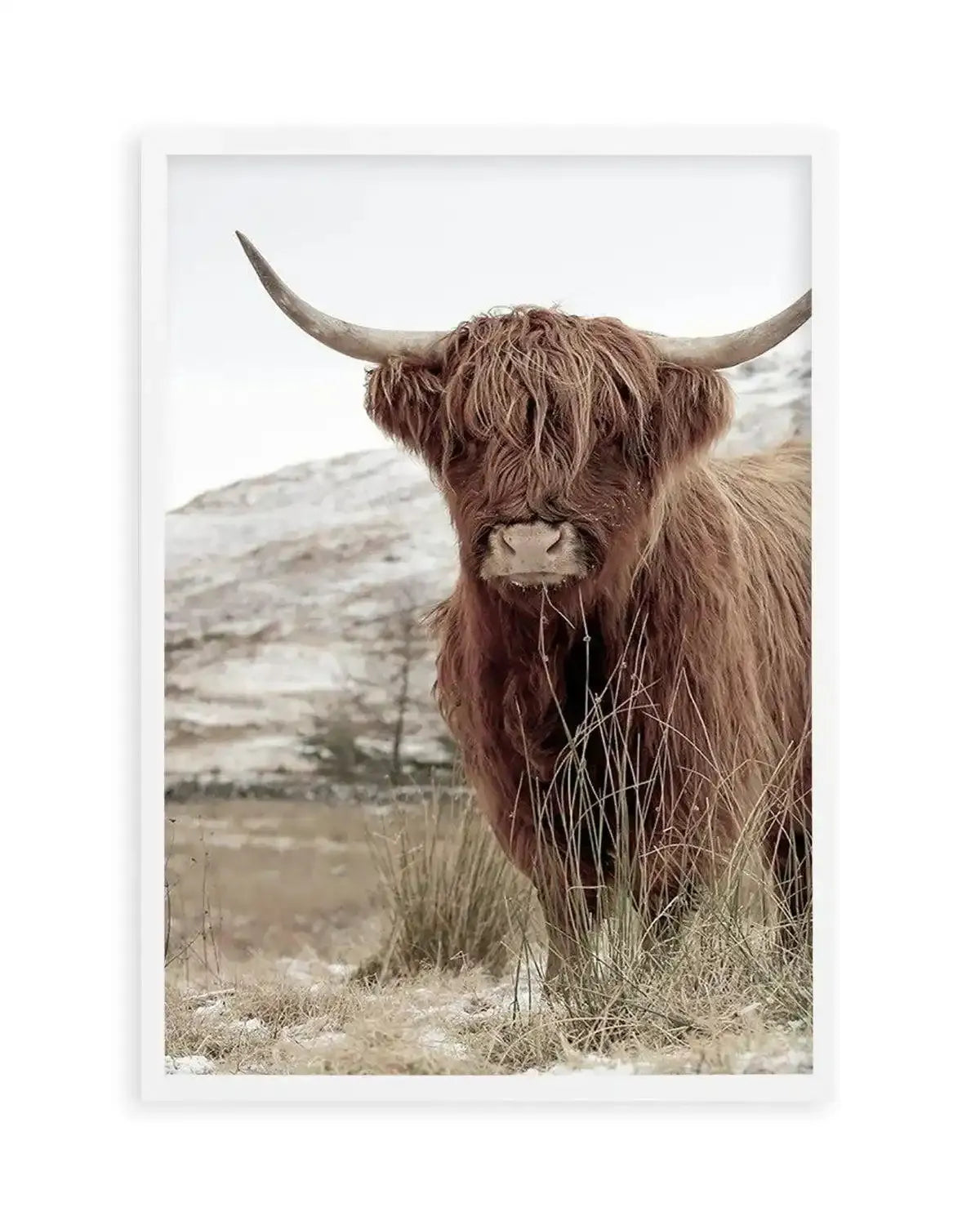 Highlander | PT Art Print from Olive et Oriel where you can shop wallpaper and artworks online