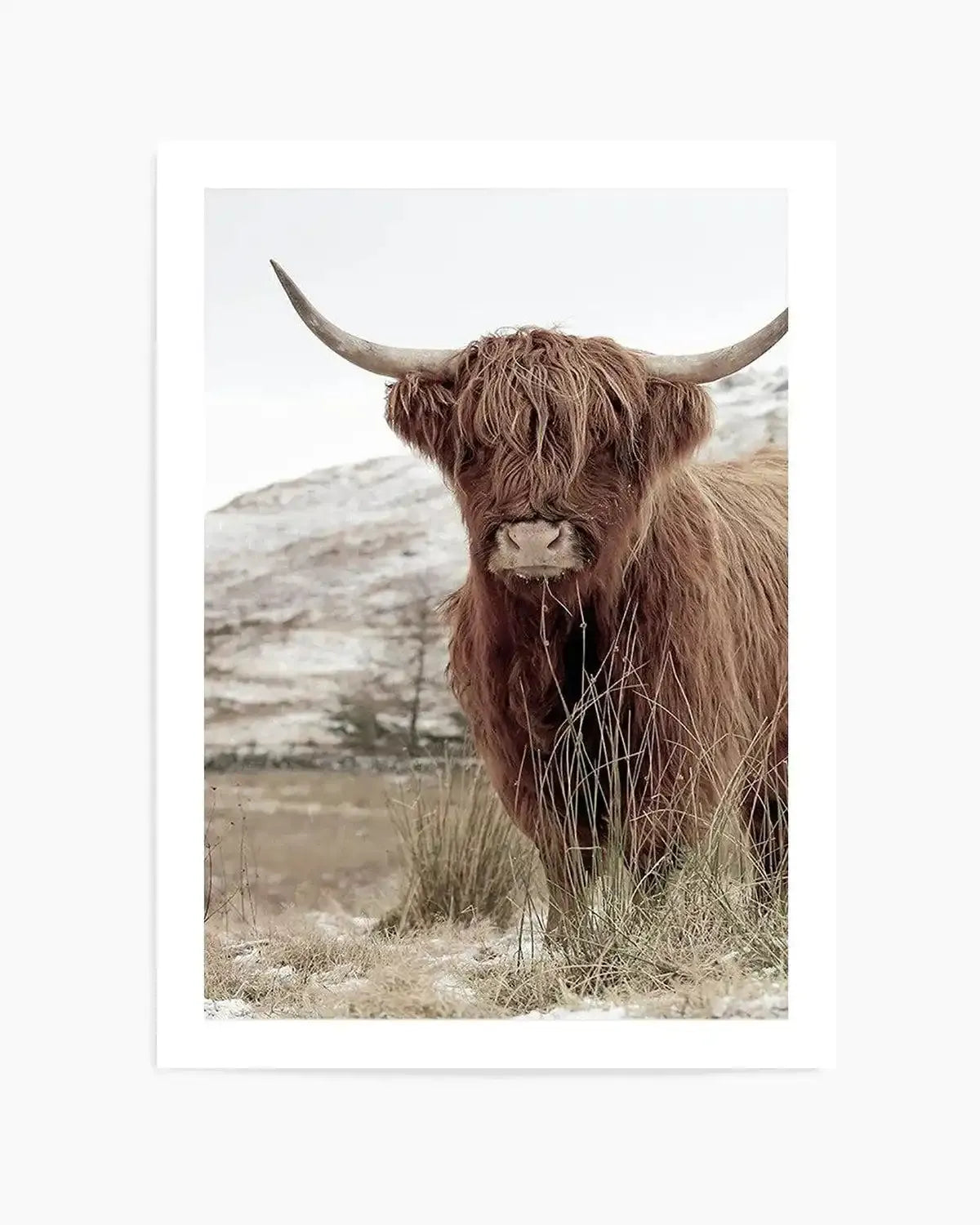 Highlander | PT Art Print from Olive et Oriel where you can shop wallpaper and artworks online