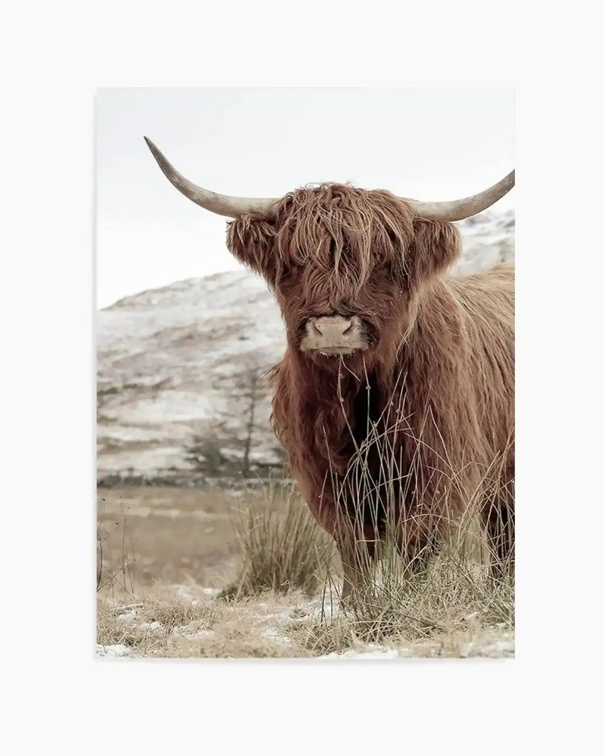 Highlander | PT Art Print from Olive et Oriel where you can shop wallpaper and artworks online