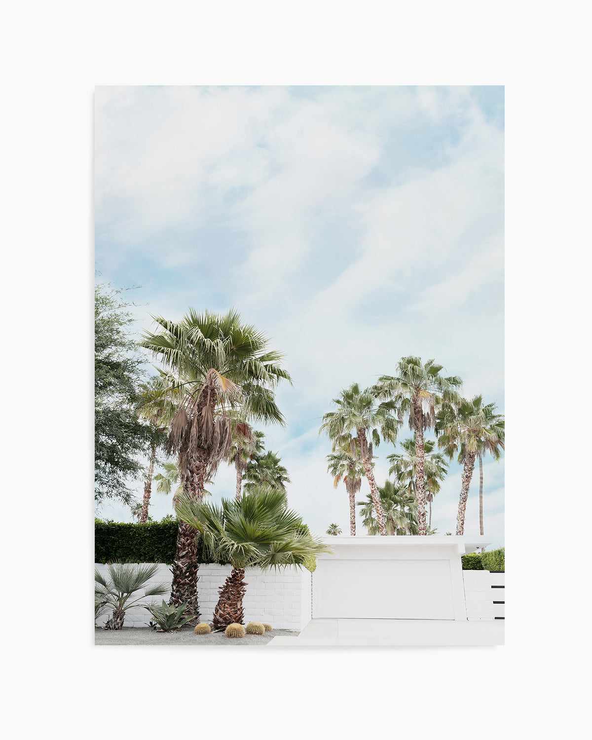 Home, Palm Springs Art Print