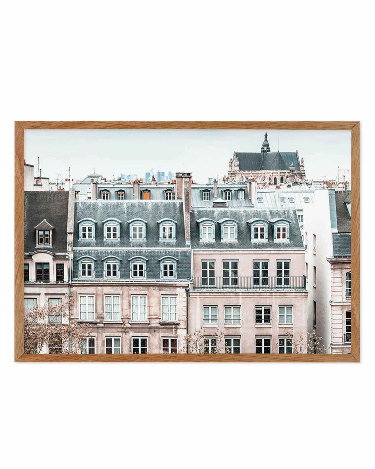 Homes of Paris Art Print