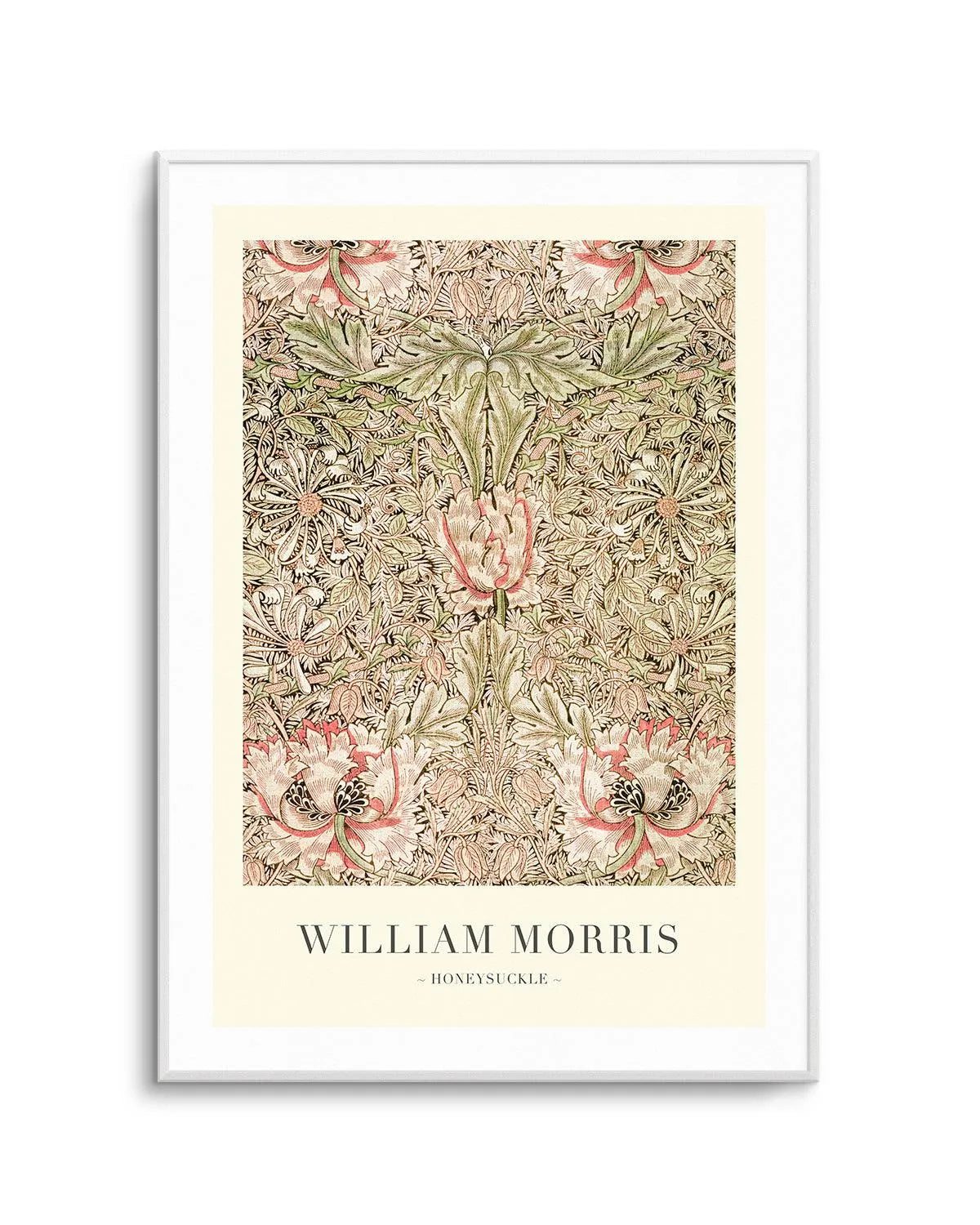 Honeysuckle by William Morris Art Print from Olive et Oriel where you can shop wallpaper and artworks online