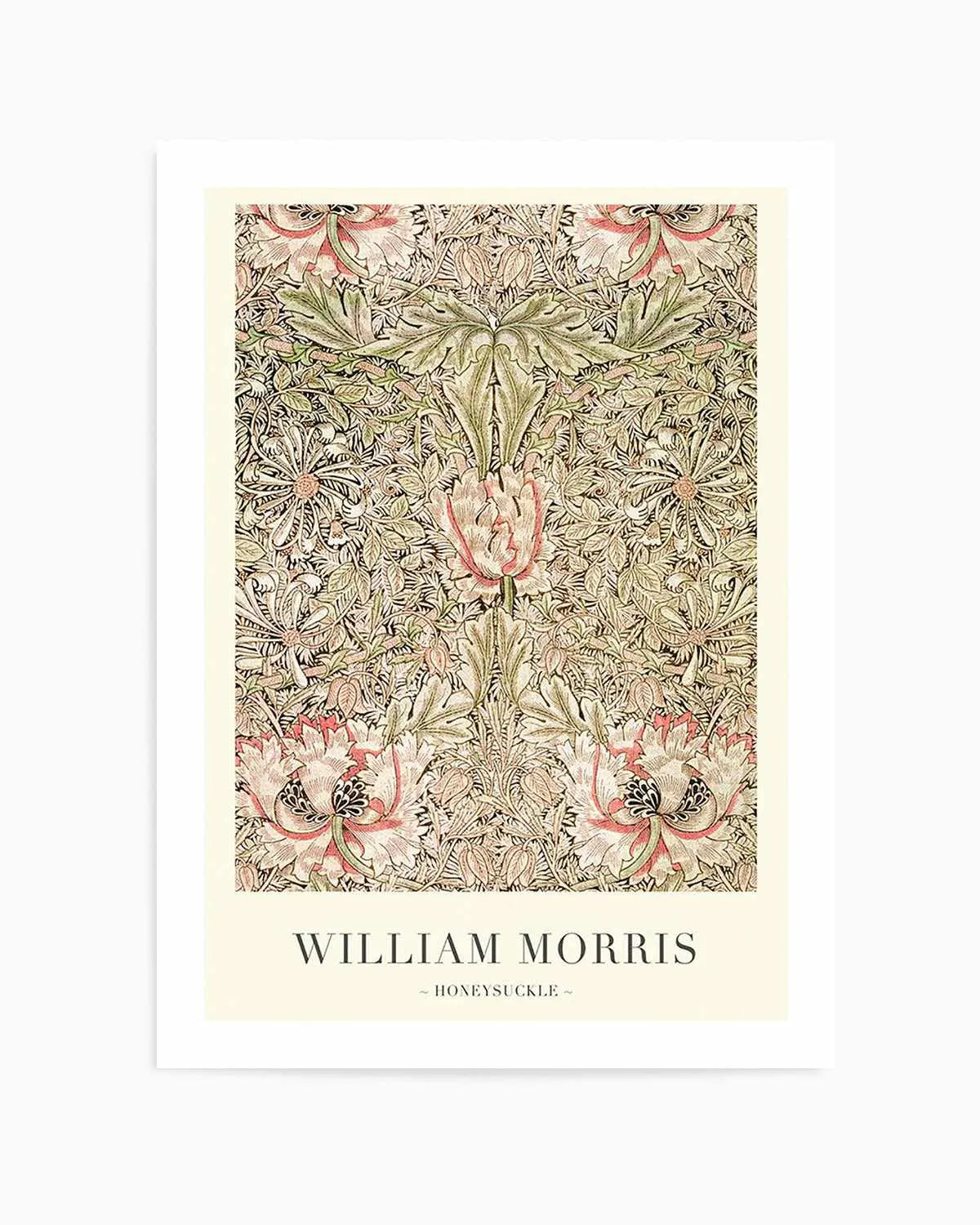 Honeysuckle by William Morris Art Print from Olive et Oriel where you can shop wallpaper and artworks online