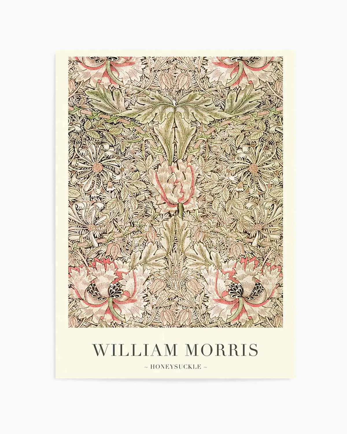 Honeysuckle by William Morris Art Print from Olive et Oriel where you can shop wallpaper and artworks online