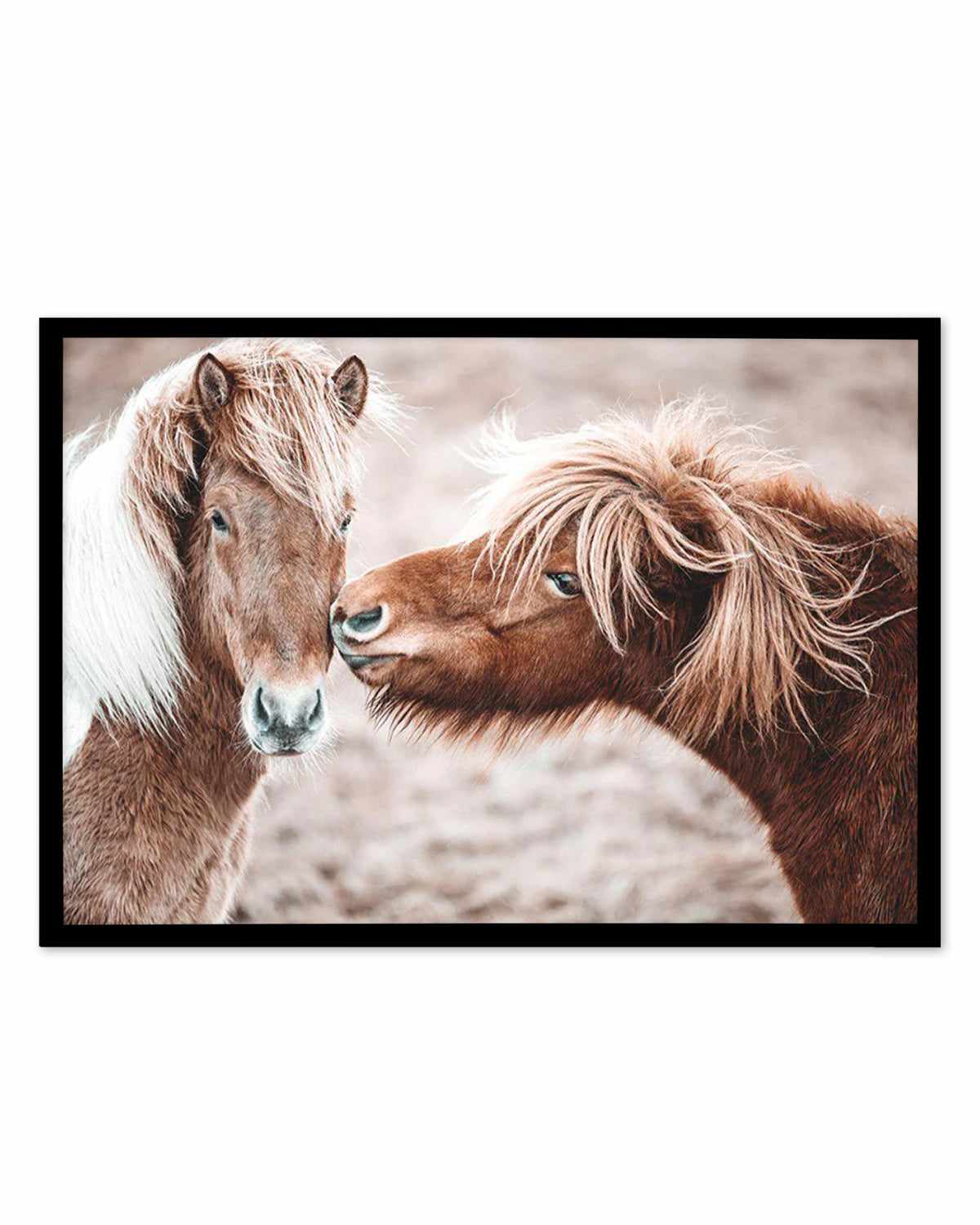 Horse Kisses Art Print