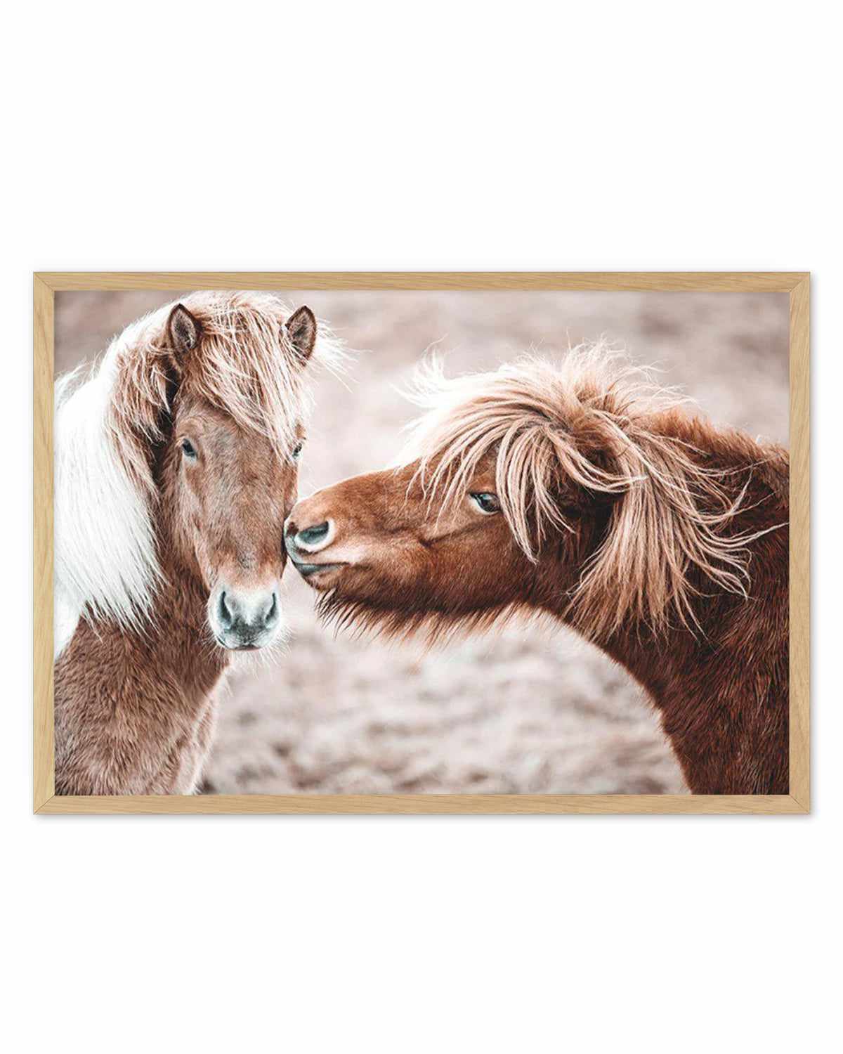 Horse Kisses Art Print