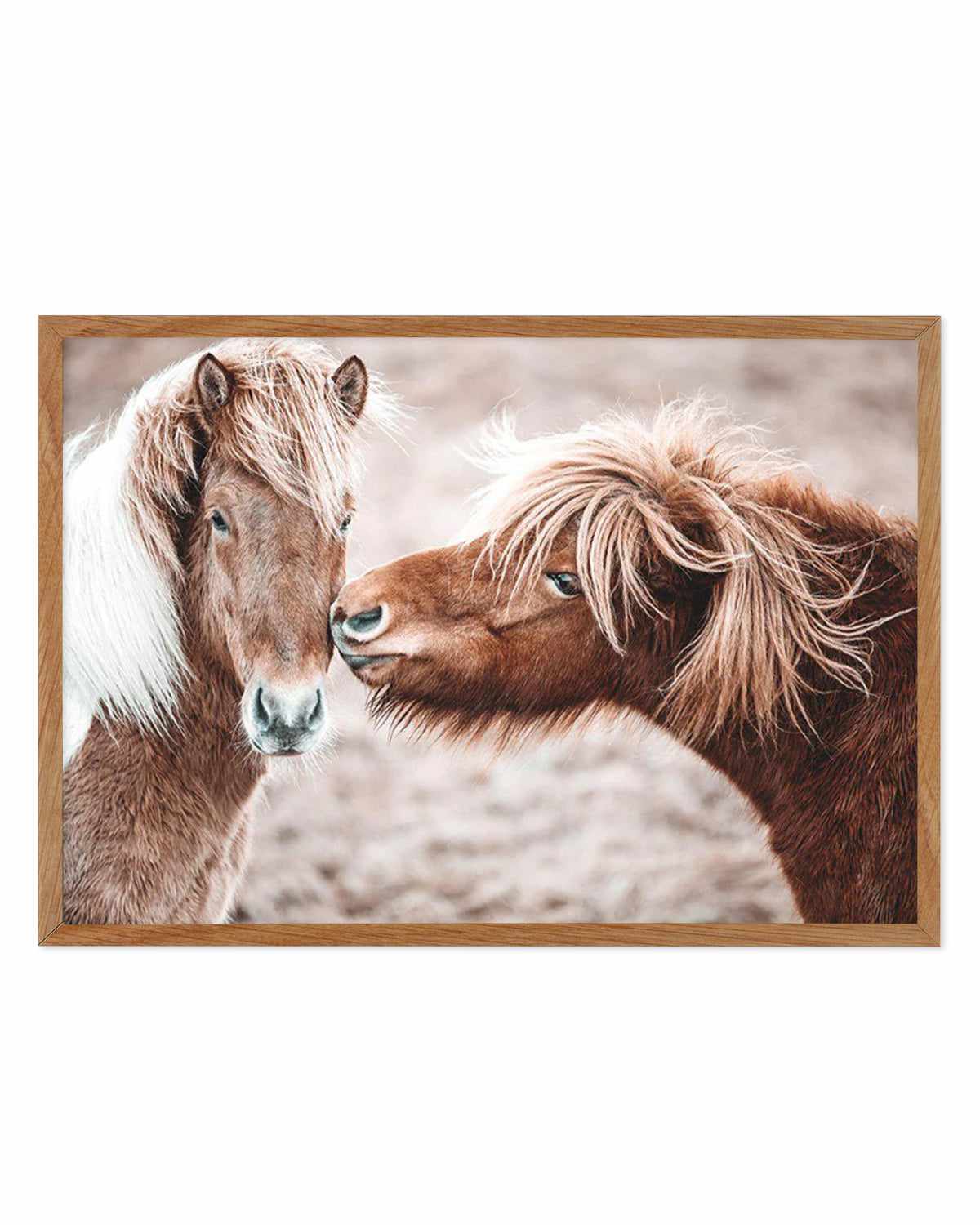 Horse Kisses Art Print