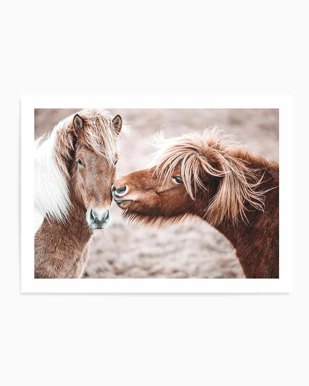 Horse Kisses Art Print