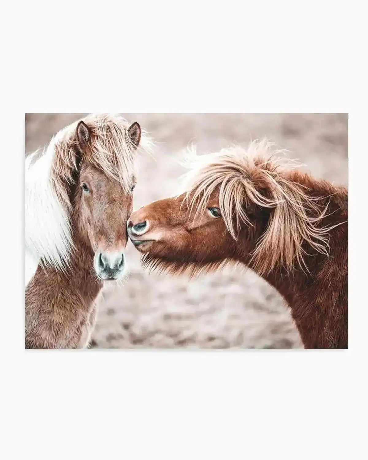 Horse Kisses Art Print from Olive et Oriel where you can shop wallpaper and artworks online