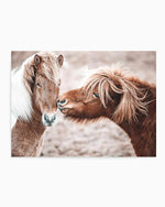Horse Kisses Art Print