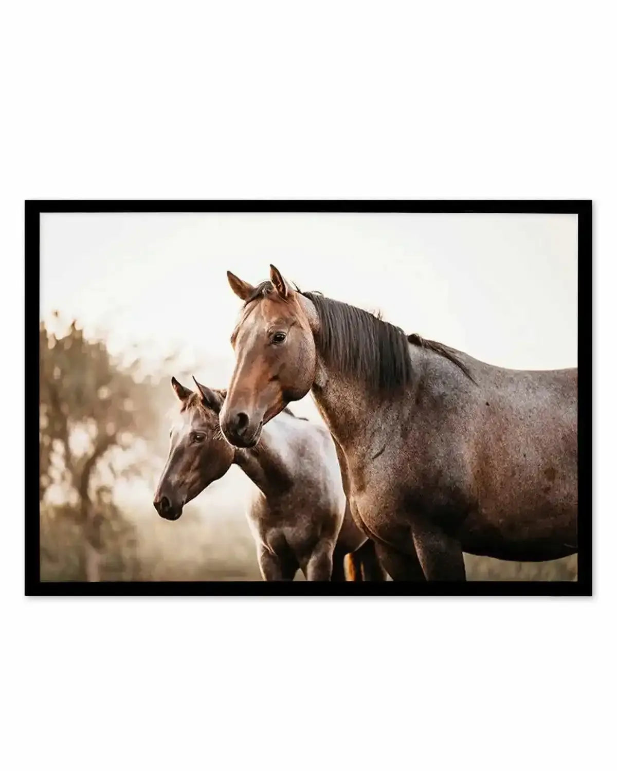 Horses in the Mist Art Print from Olive et Oriel where you can shop wallpaper and artworks online