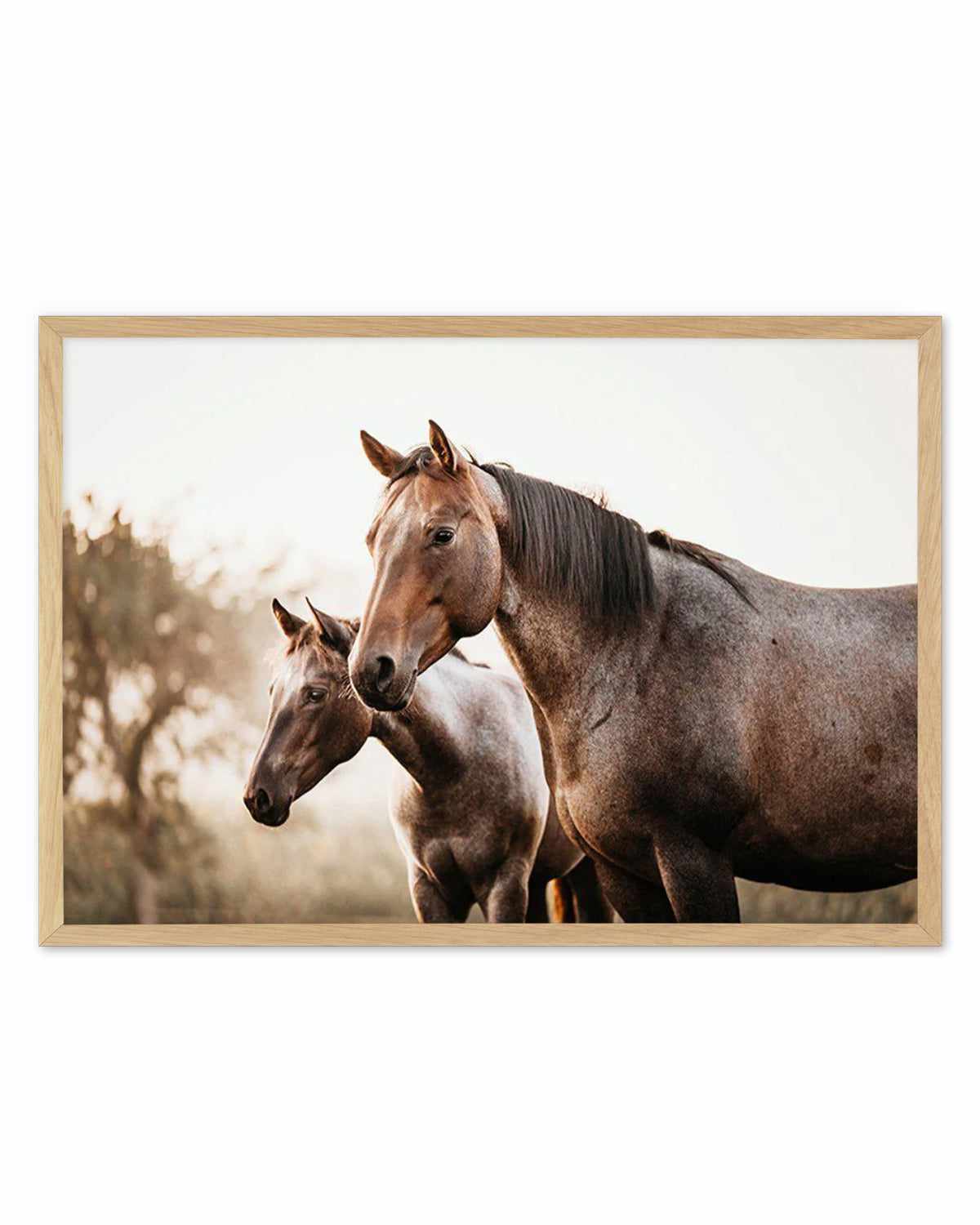 Horses in the Mist Art Print