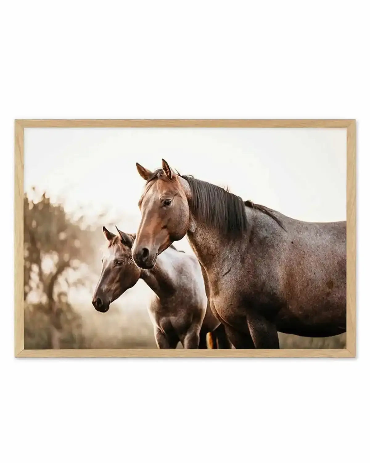 Horses in the Mist Art Print from Olive et Oriel where you can shop wallpaper and artworks online