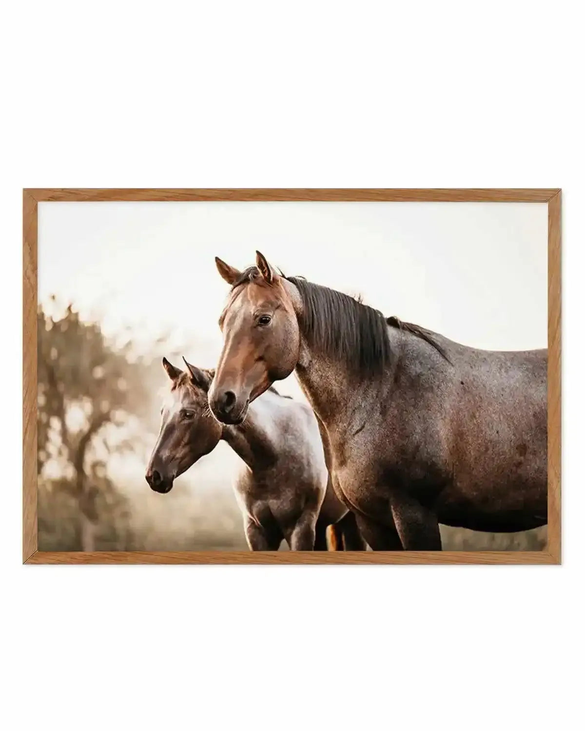 Horses in the Mist Art Print from Olive et Oriel where you can shop wallpaper and artworks online